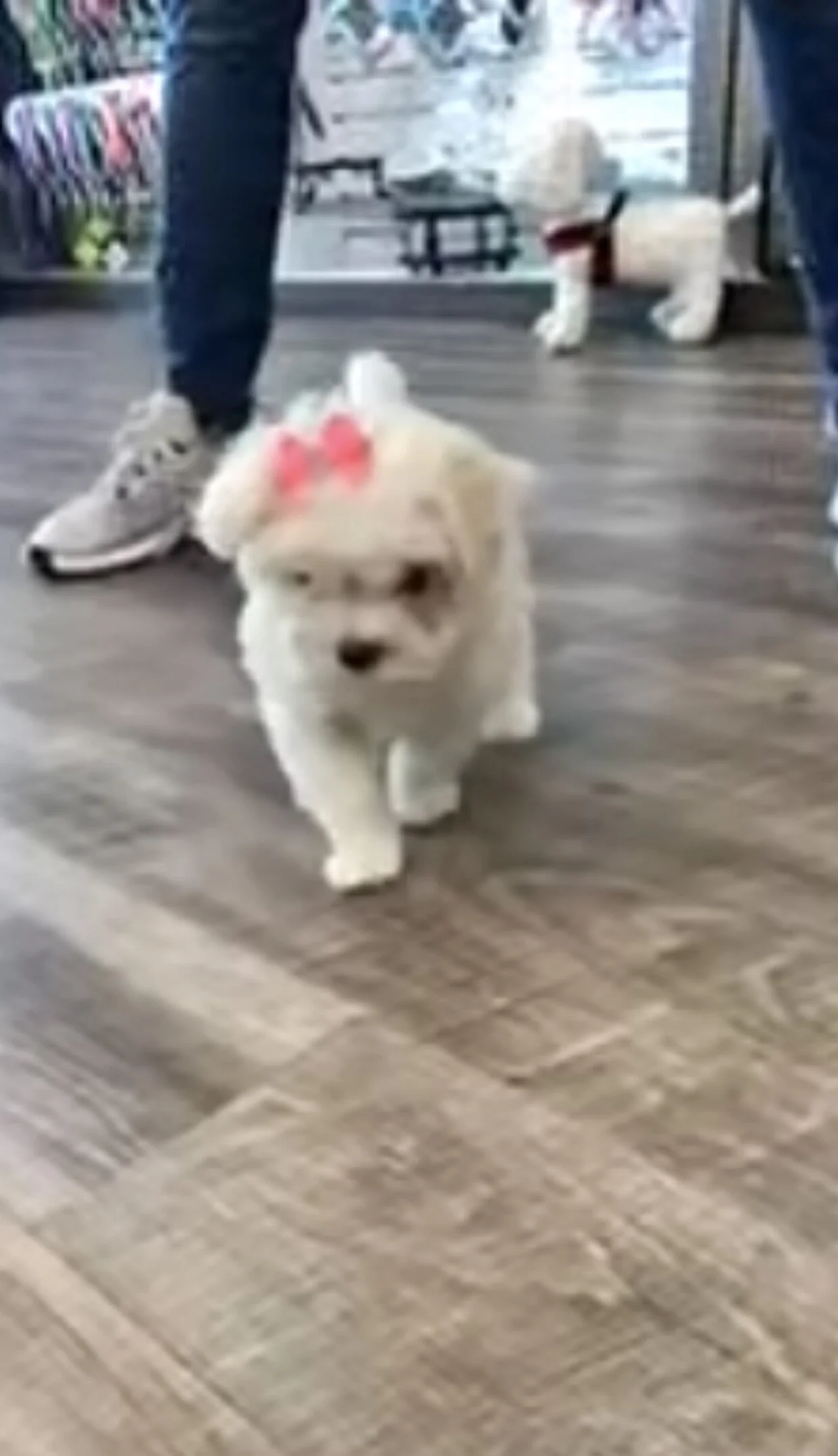 Sorry for the quality, but this was from our FaceTime!