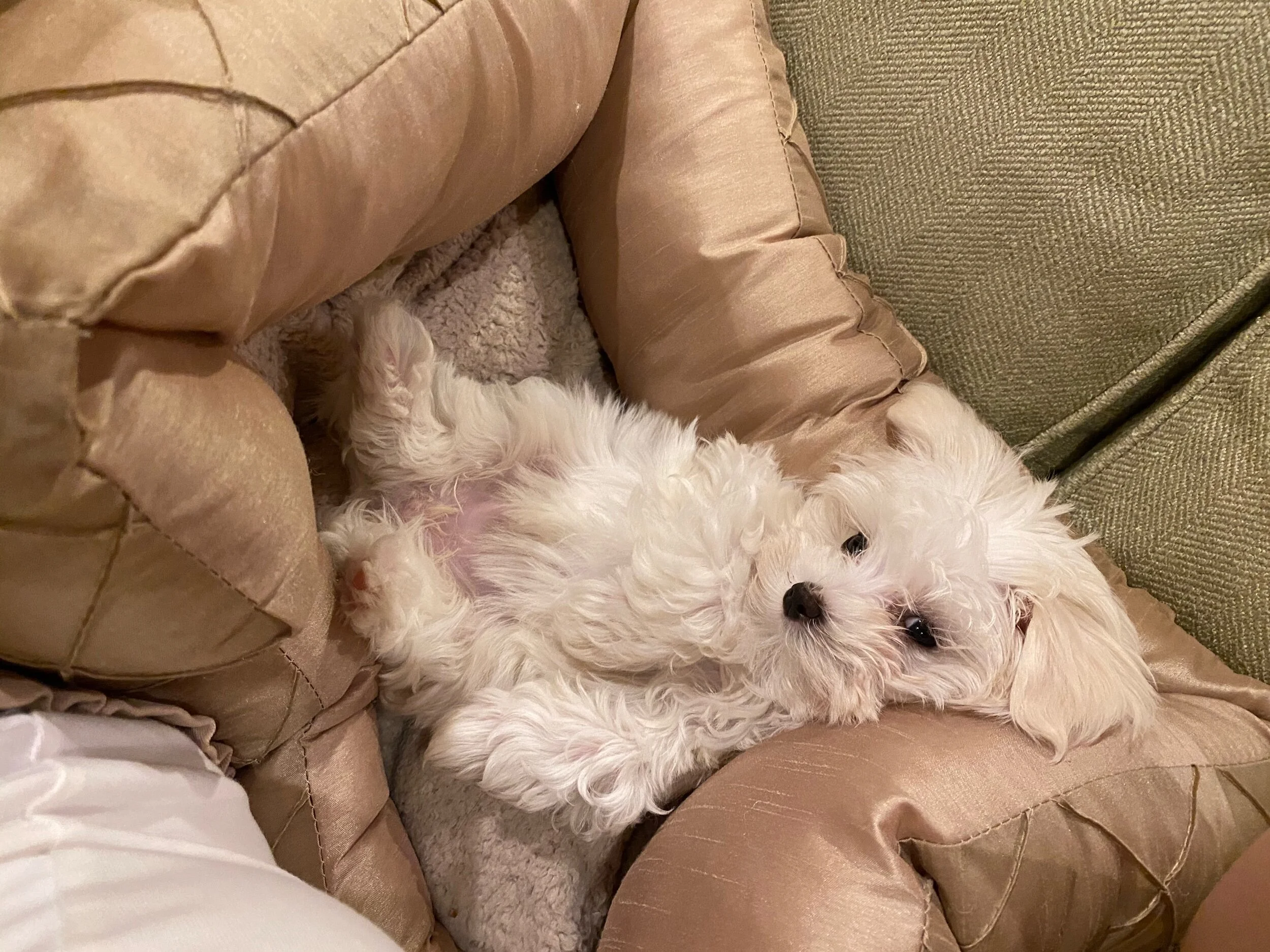 Hanging around after the move