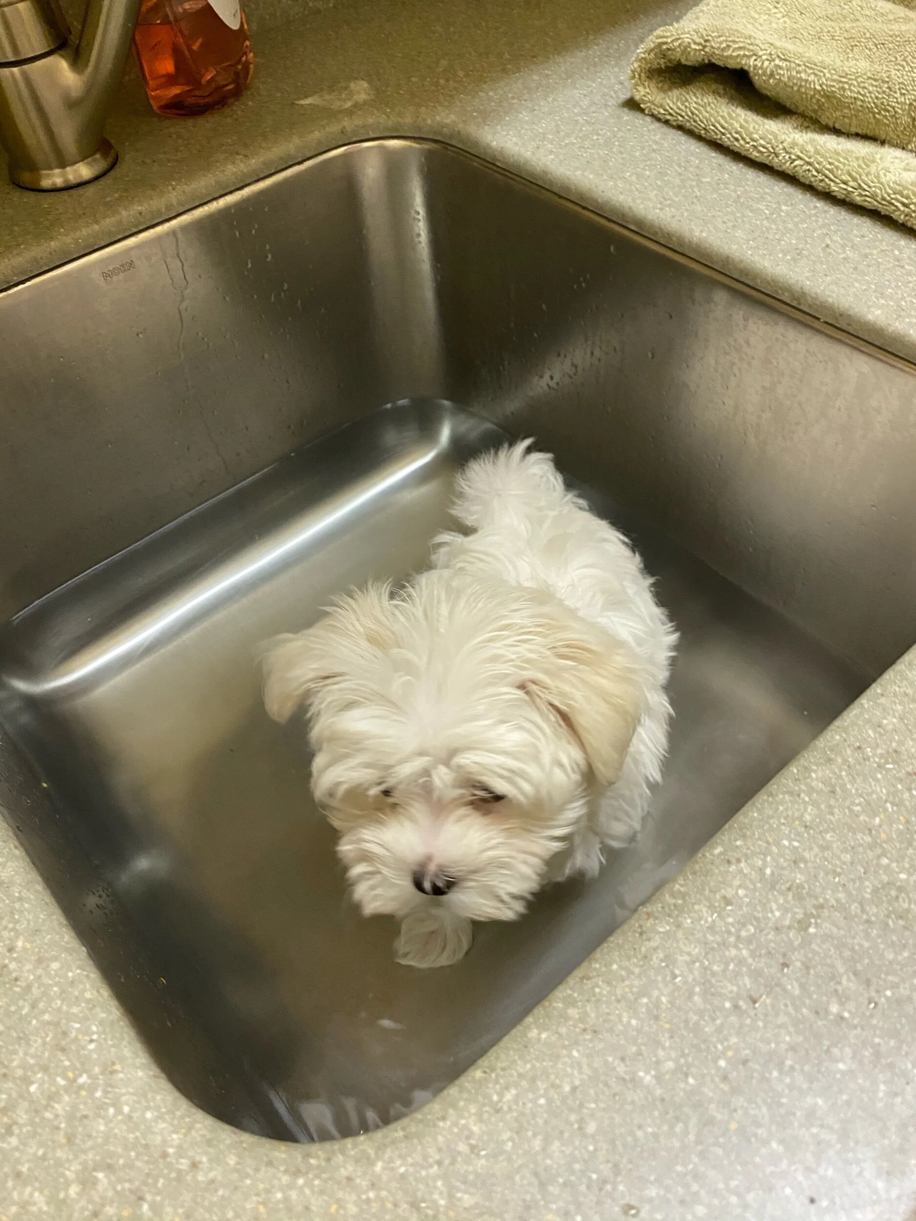 Her first at home bath