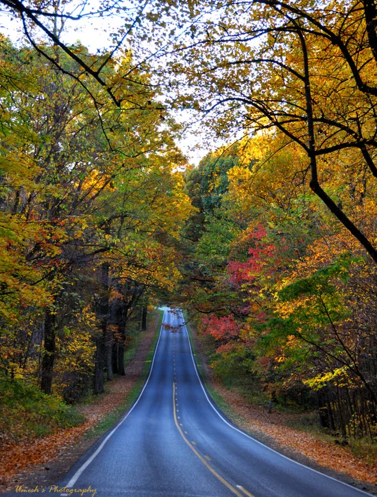Skyline Drive, VA