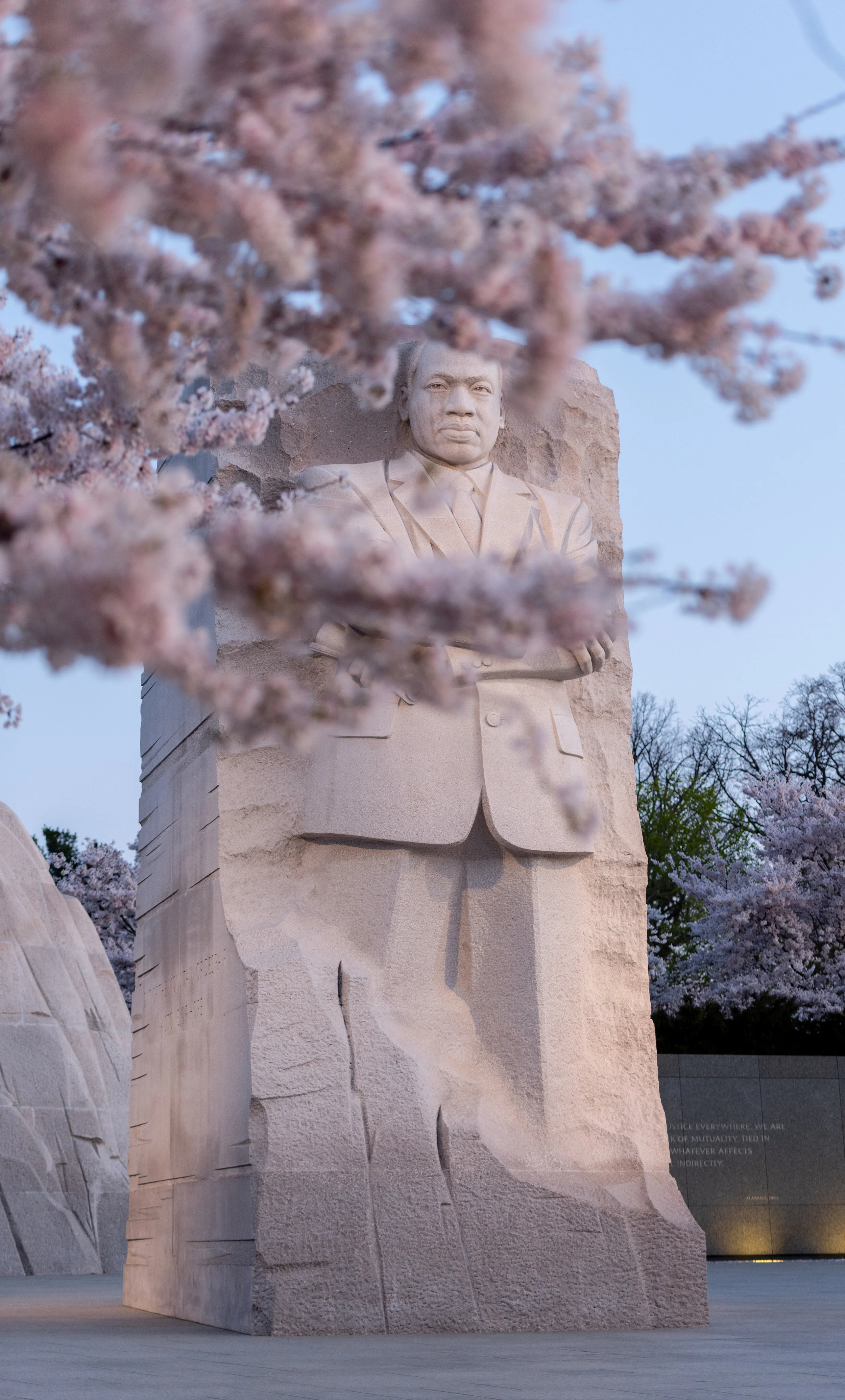 MLK and Cherry Blossom.jpg