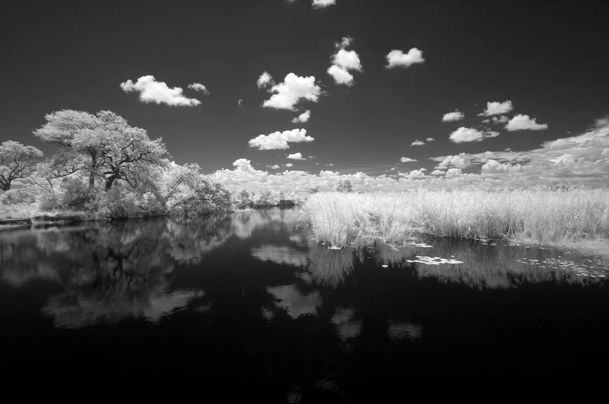 Travel-8.jpg