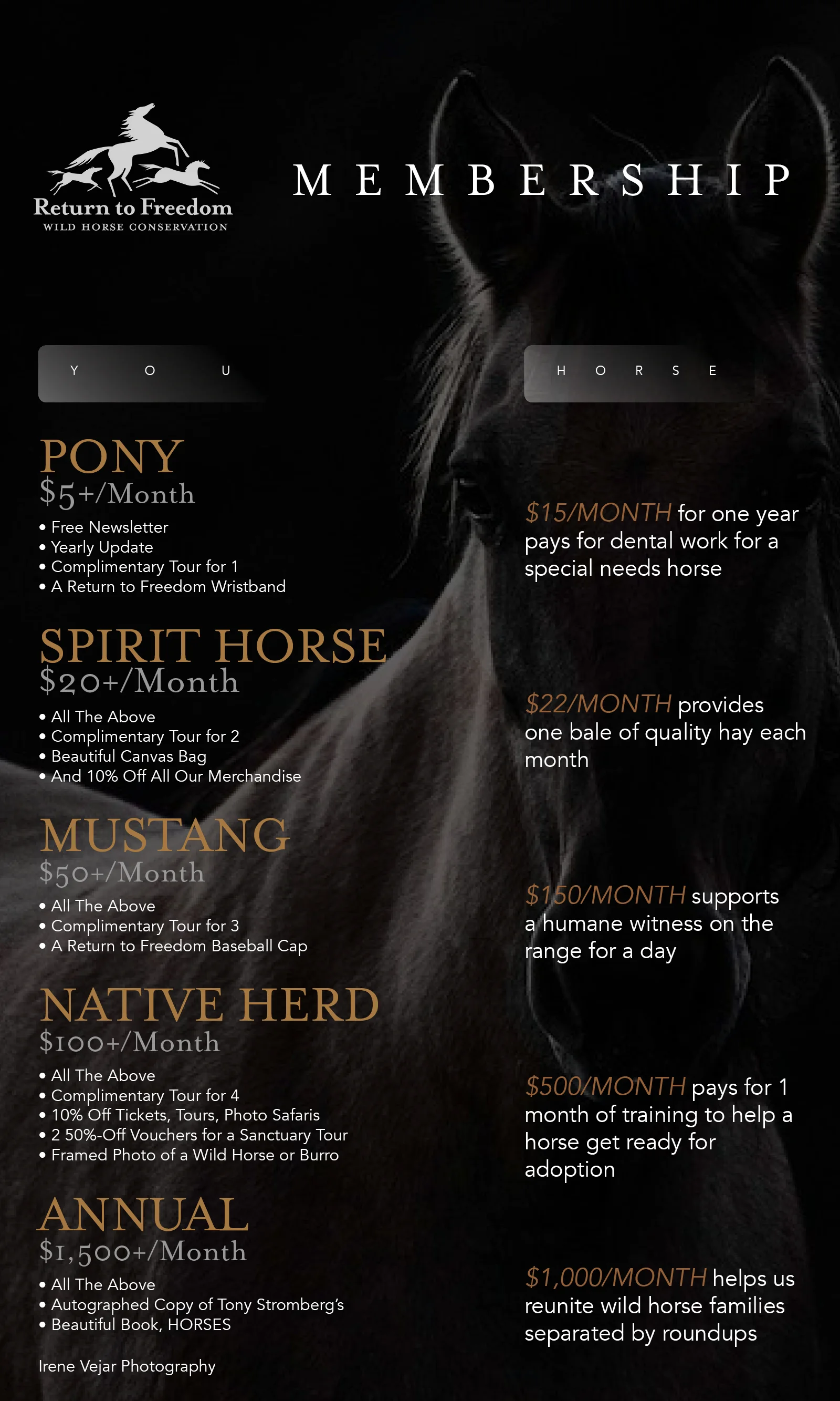 membership gives3.jpg