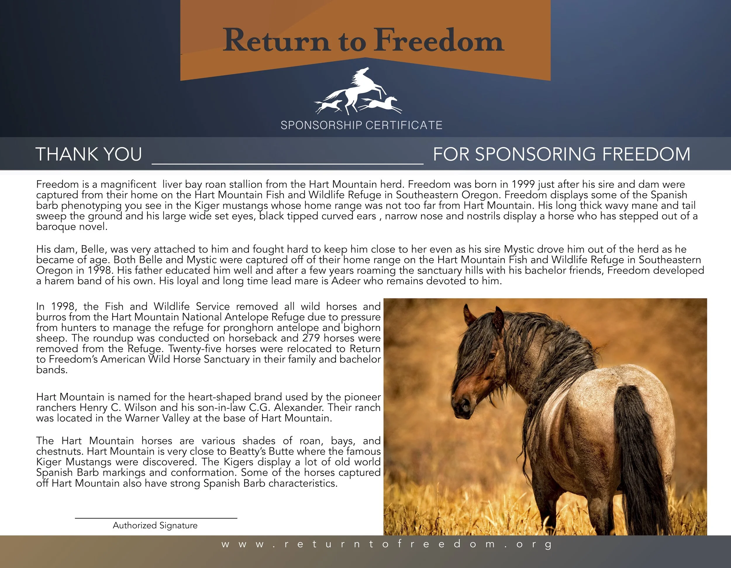 Freedom certificate.jpg