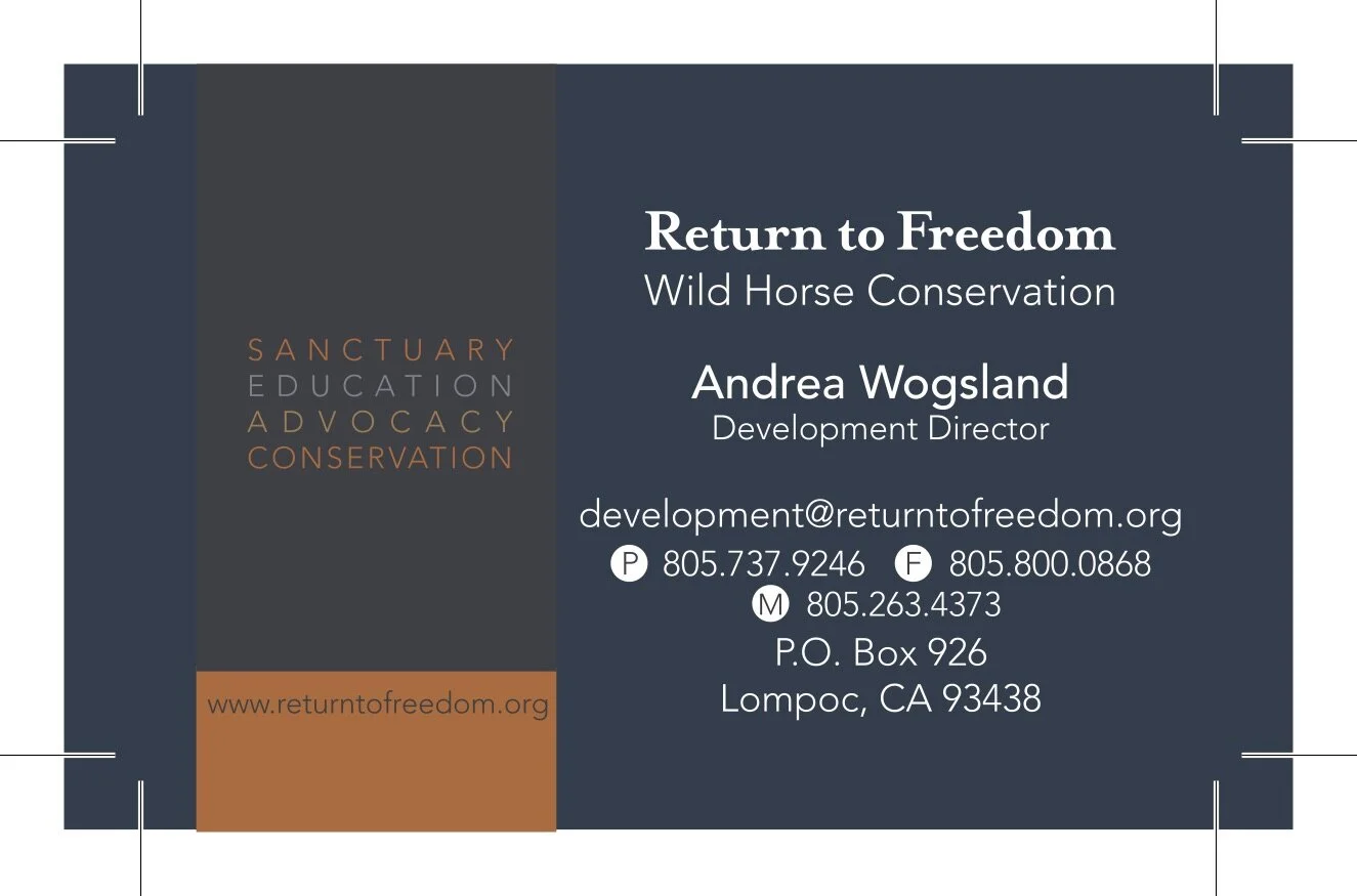 final back Andrea.jpg