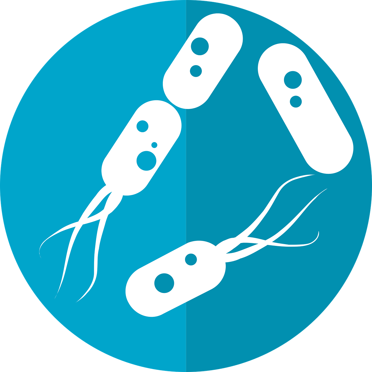bacteria-icon-2316230_1280.png