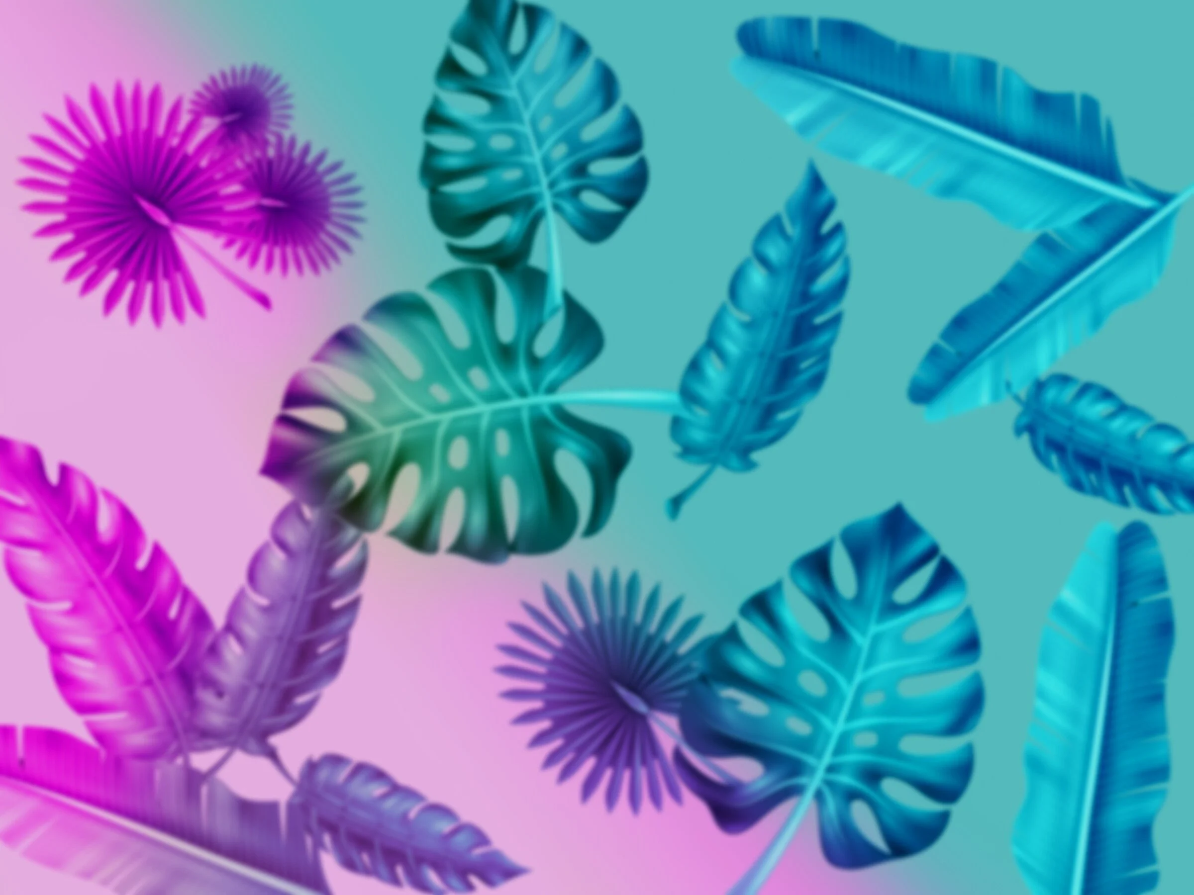 colour%2Bpalms.jpg