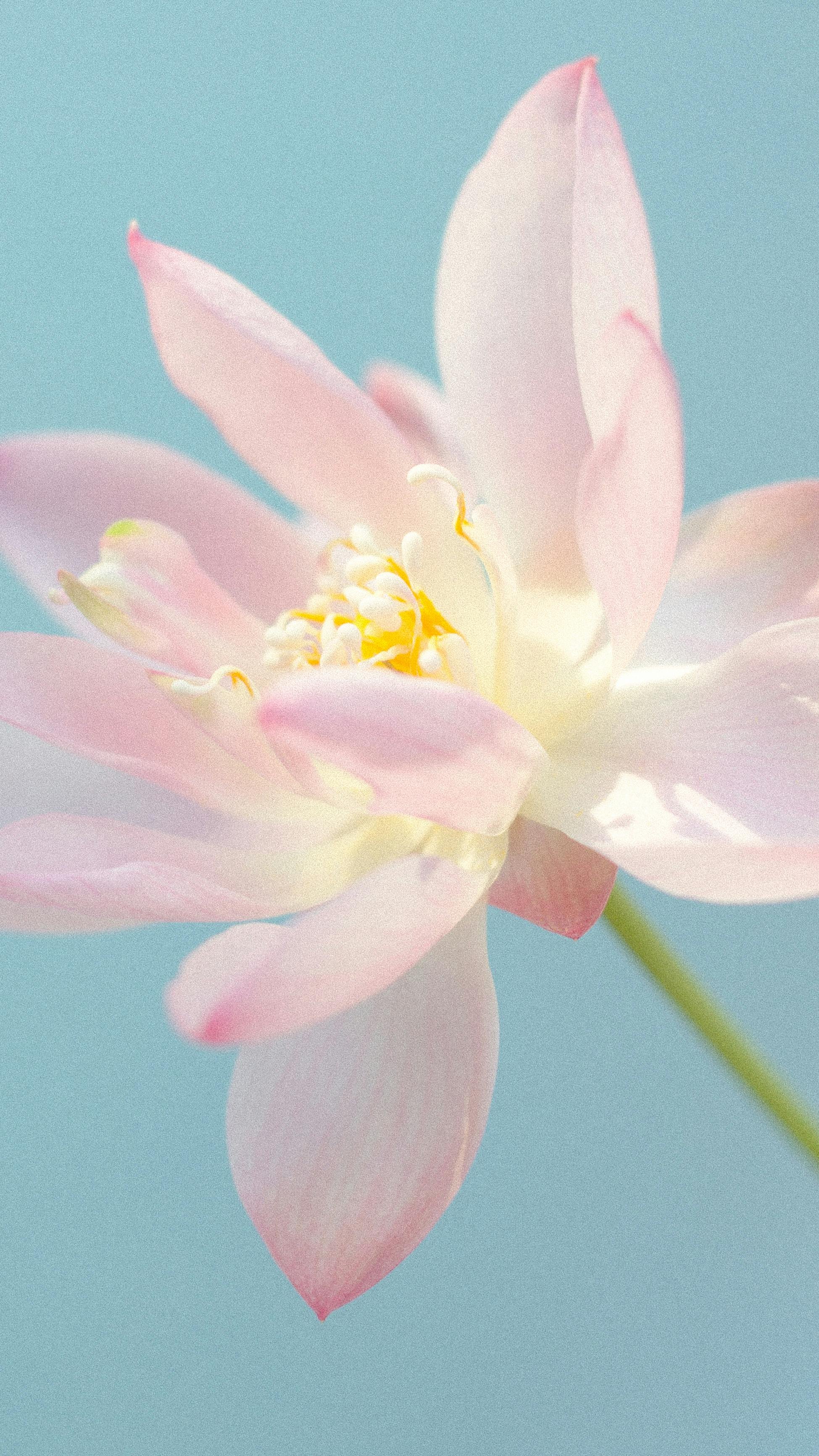 Therapy for Perfectionism: Finding Freedom from the Pressure to Be Flawless