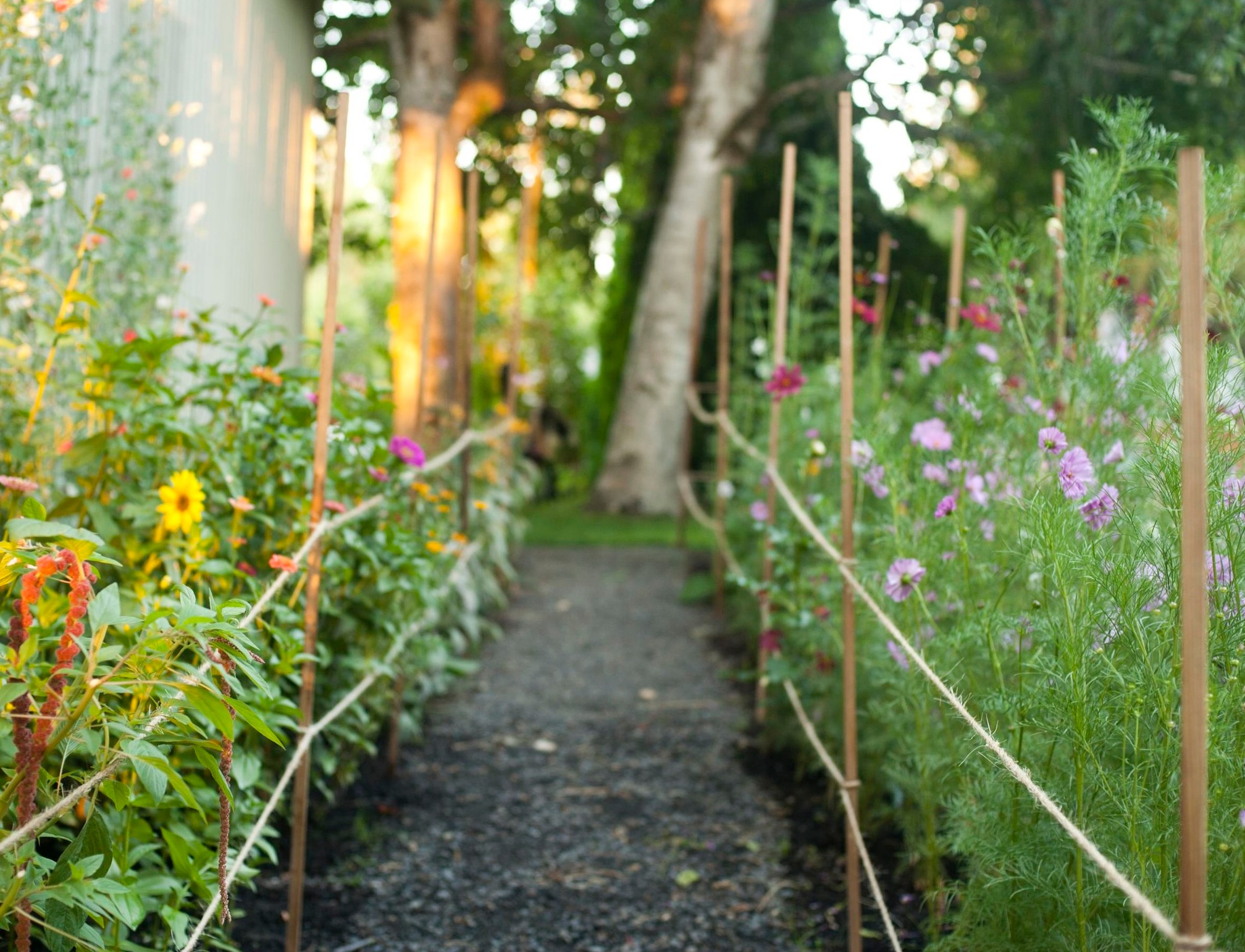 Her flower patch is full of cottage garden favorites.