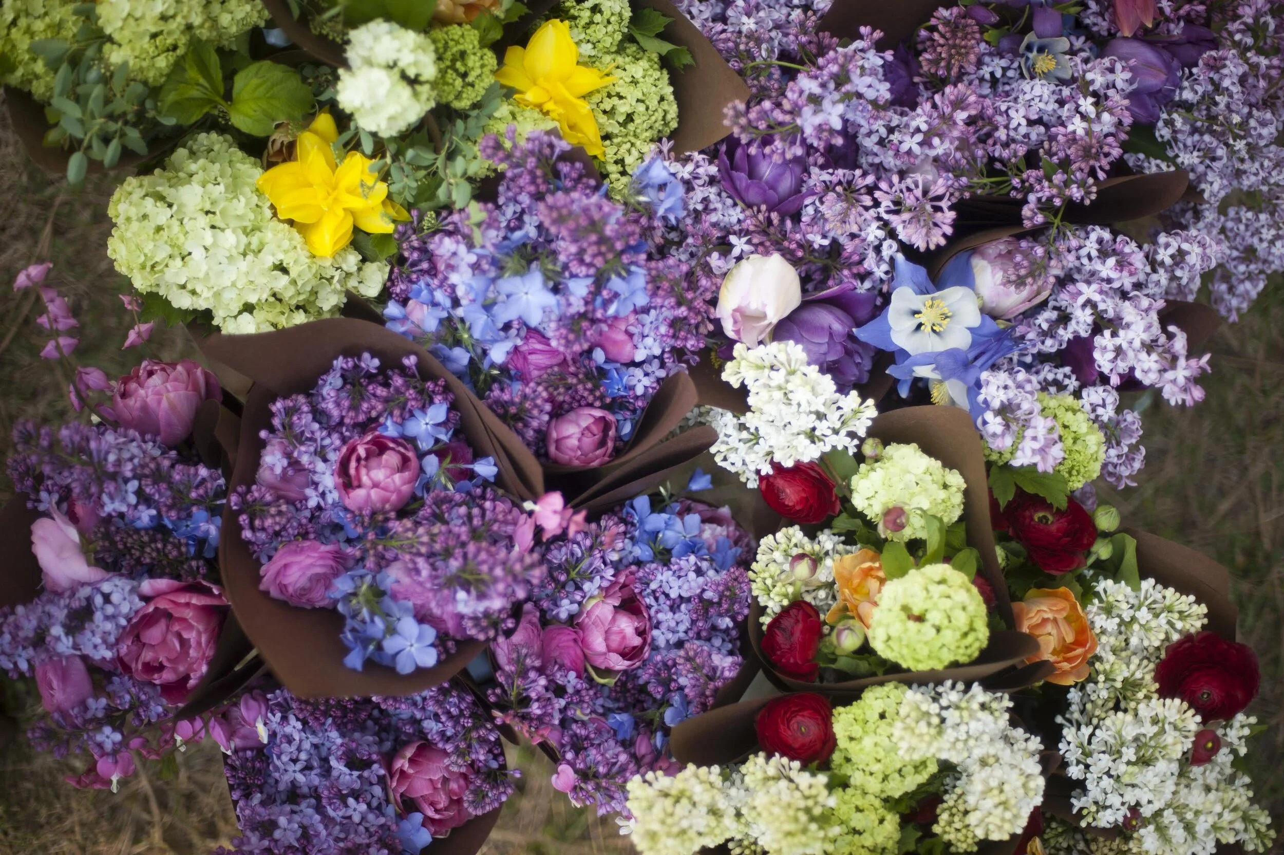 Mothers Day Flowers | Spokane Florist