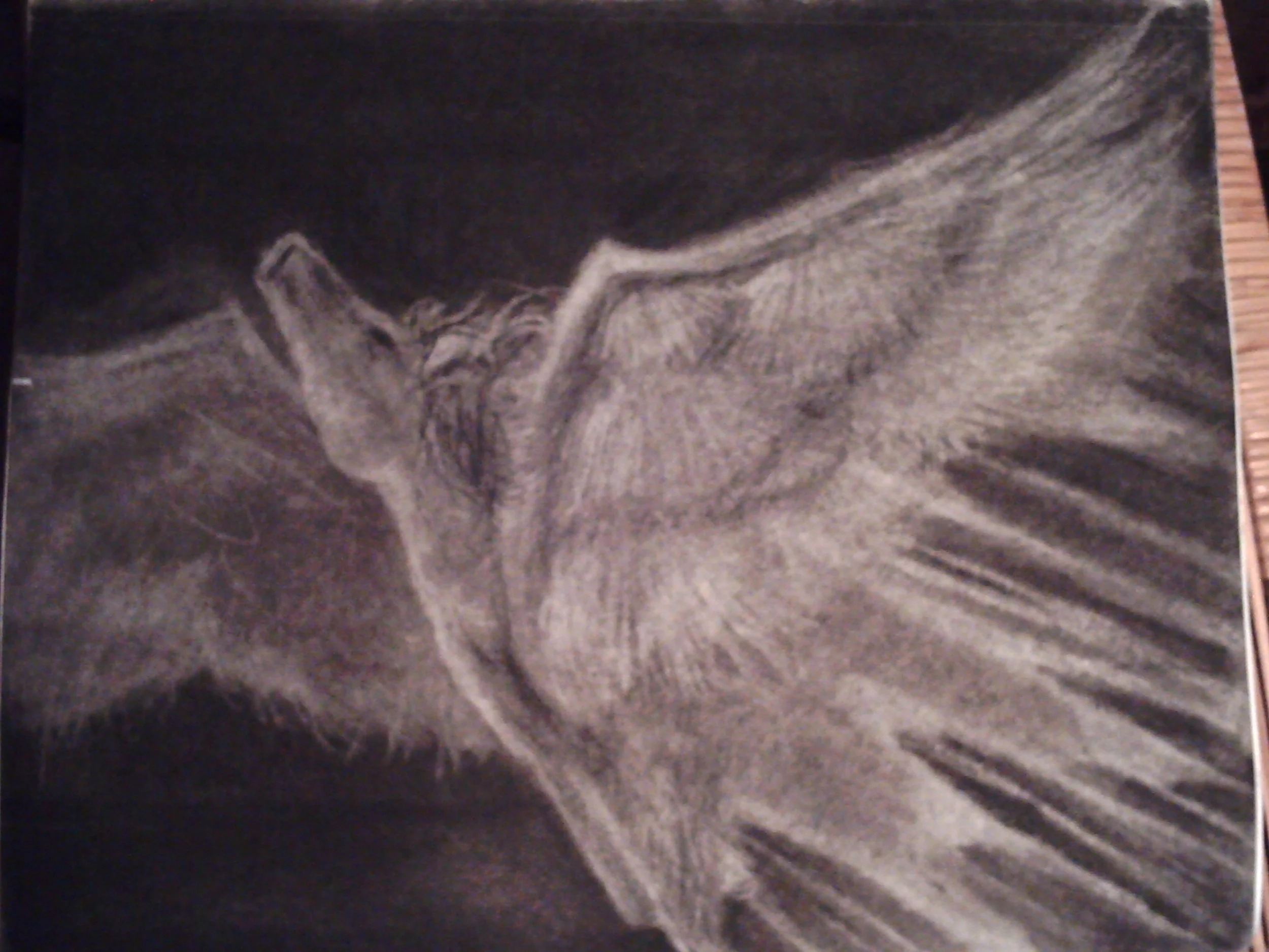 art works 045.jpg