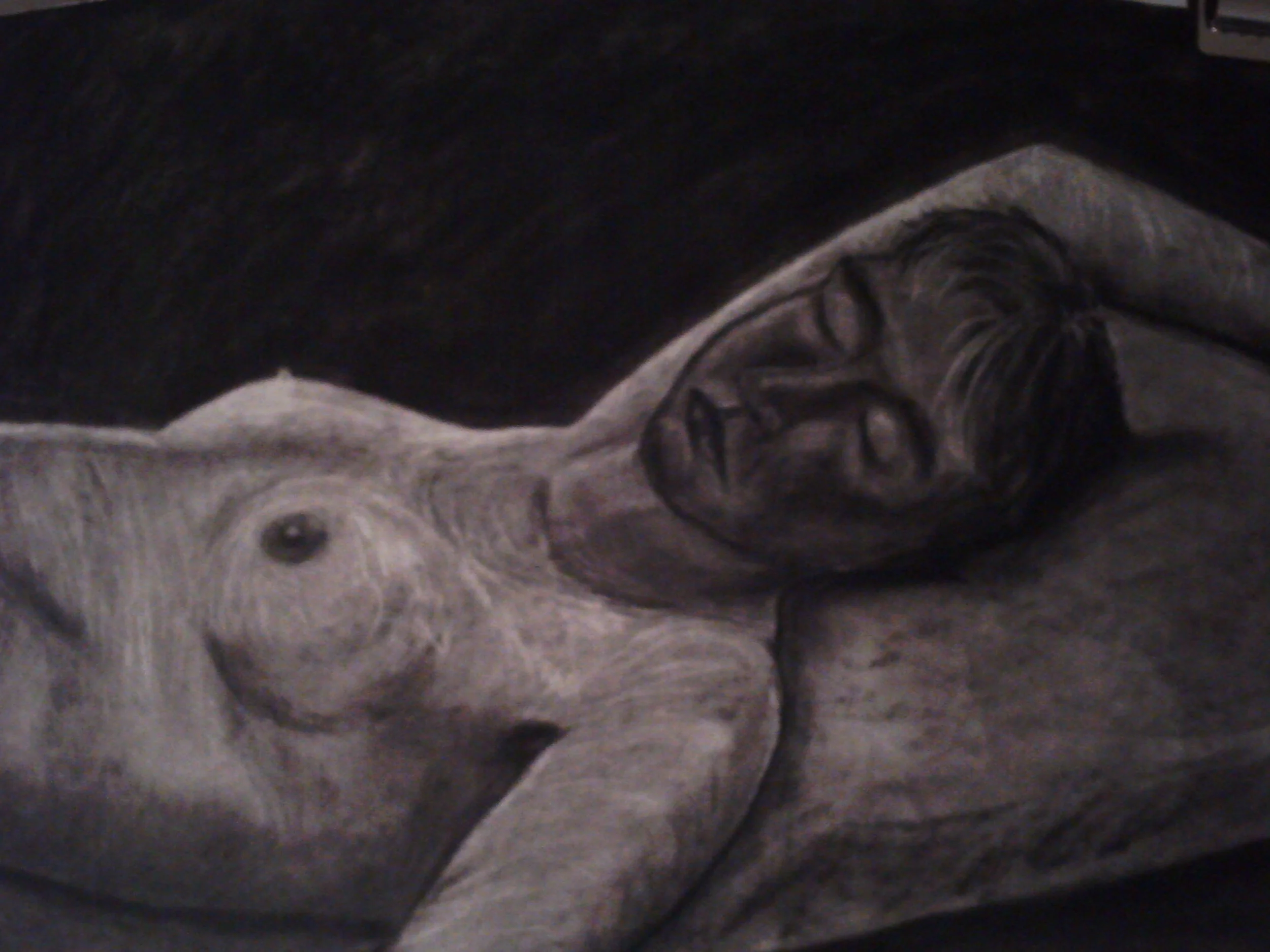 art works 056.jpg