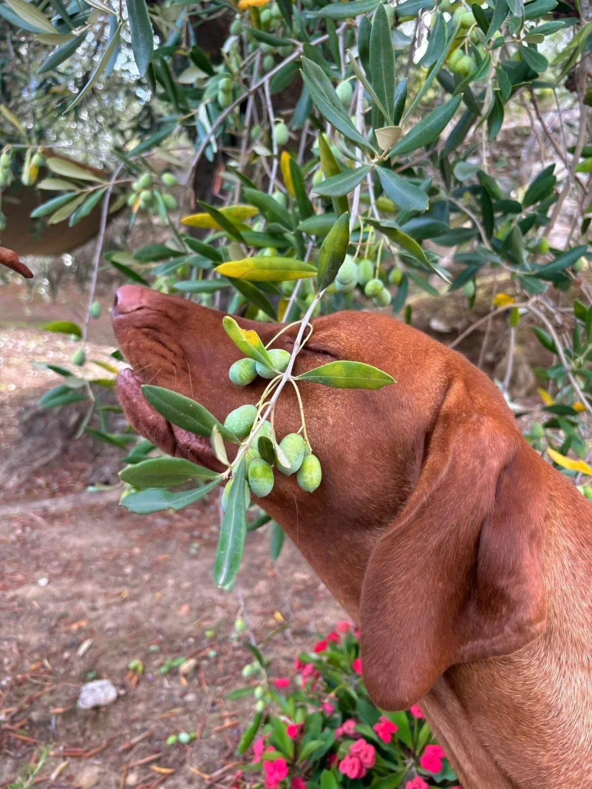 WhatsApp Image 2025-08-13 at 16.52.59.jpeg