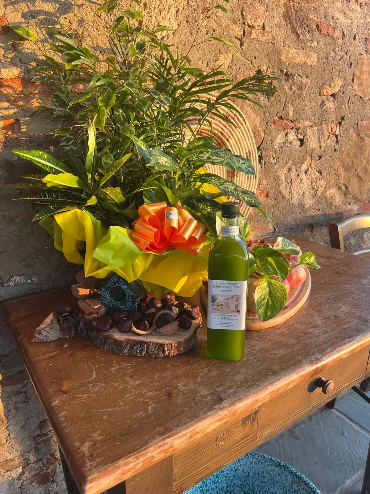 WhatsApp Image 2025-08-13 at 16.49.20.jpeg