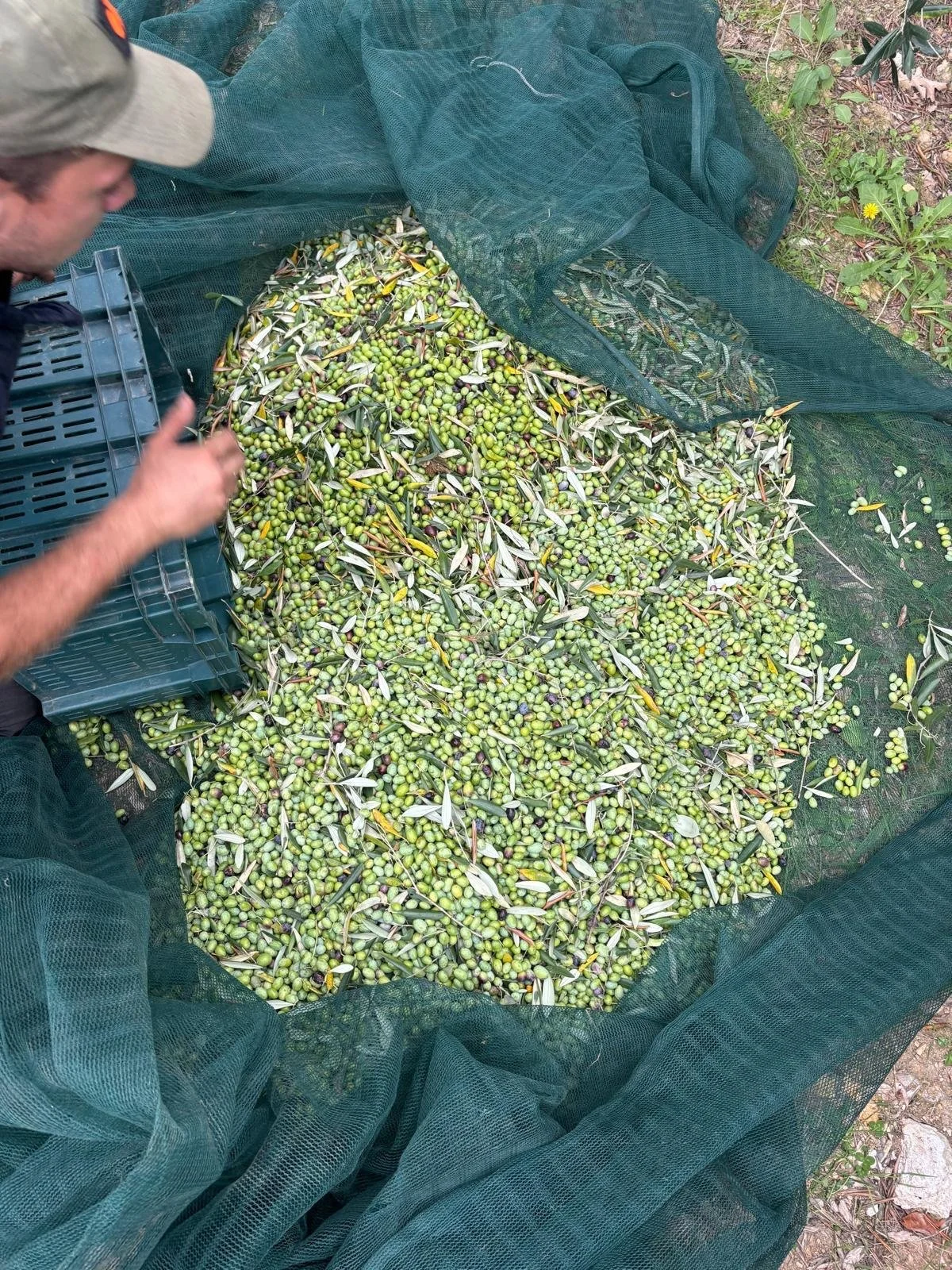 WhatsApp Image 2025-08-13 at 16.52.06 (1).jpeg