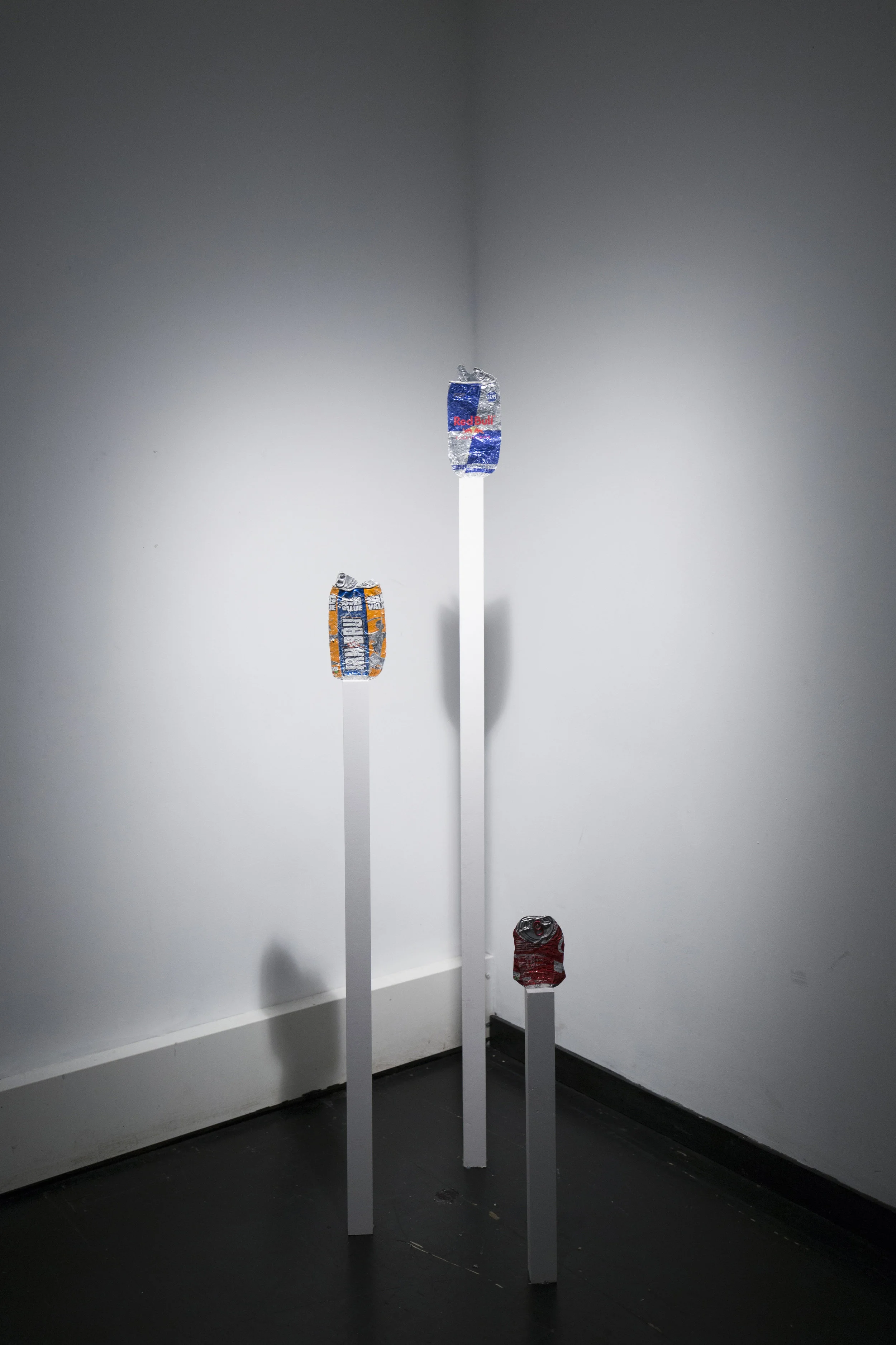 6)IMG_8220 copy2.jpg