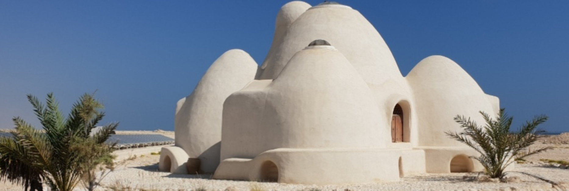 moon cocoon back.PNG