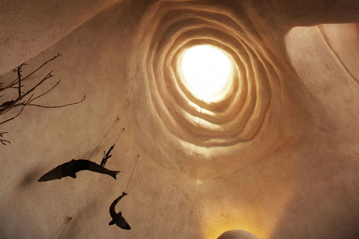 skylight cocoon.jpg