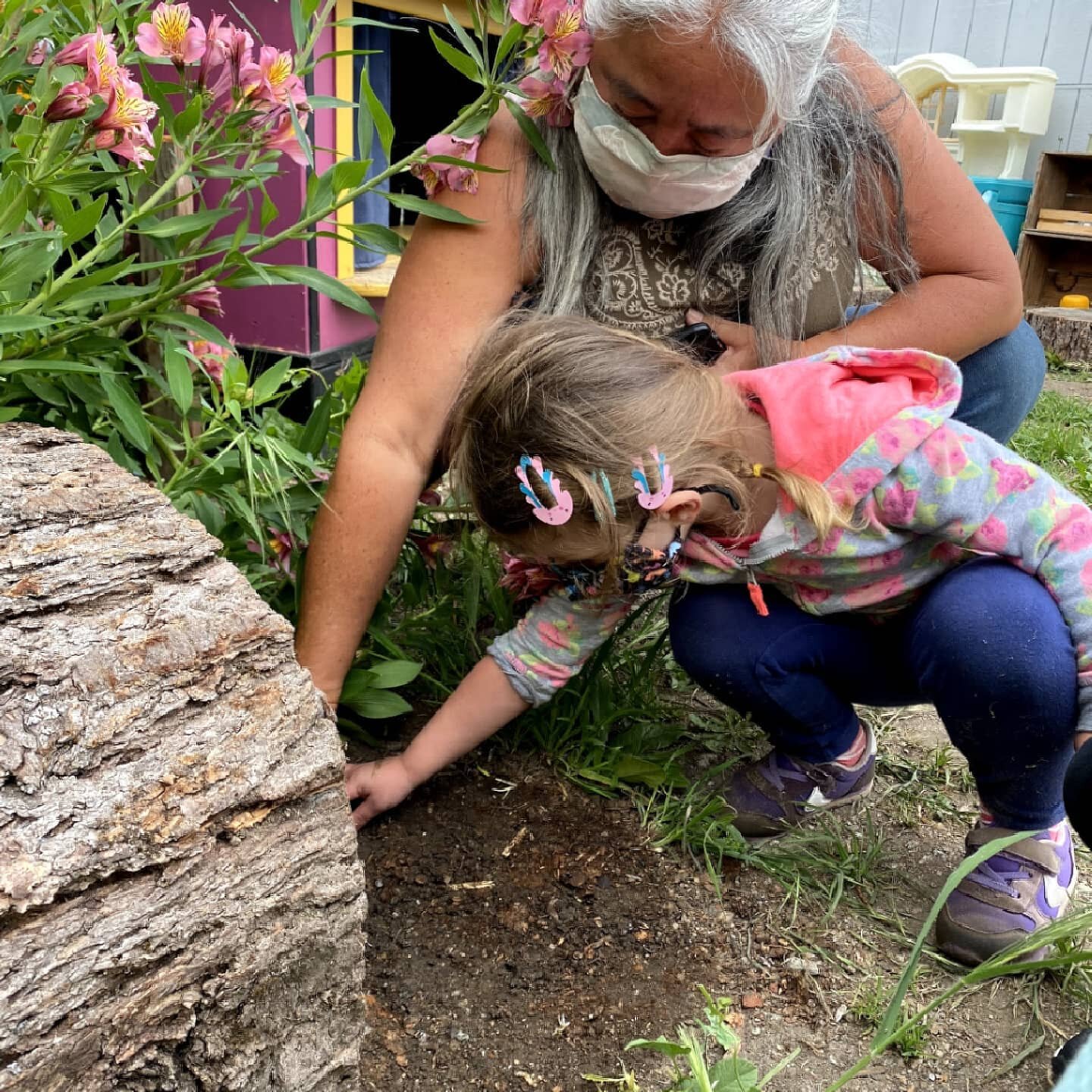 Sometimes you've just gotta turn over your tree stump stools and explore! 🔍🐛🐜🪲