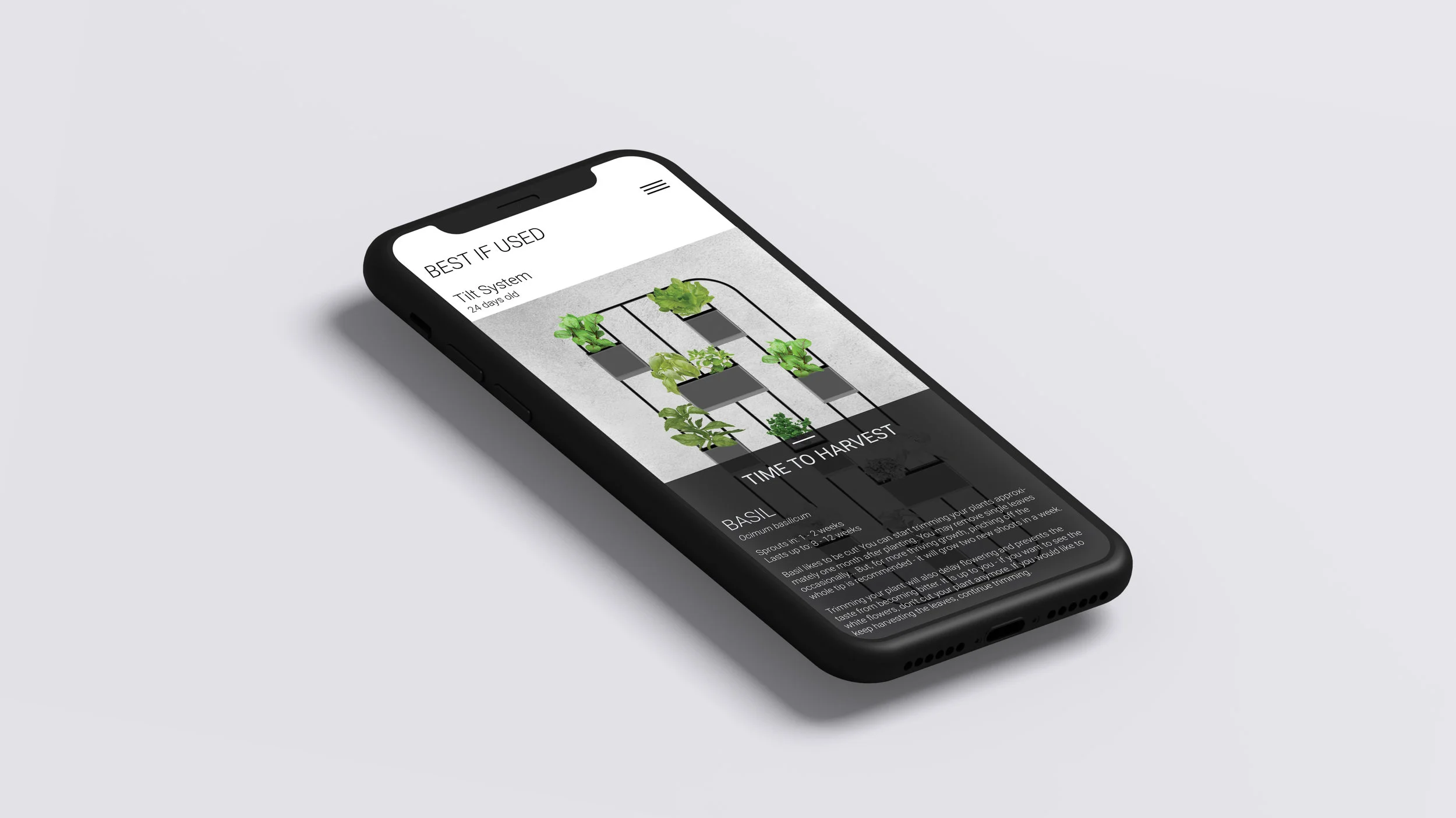 IPHONE MOCKUP.jpg