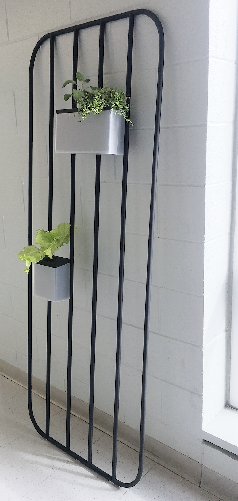 Physical full-scale model. Welded conduit frame and bent aluminum hooks, with bent acrylic/sheet aluminum plant vessels.