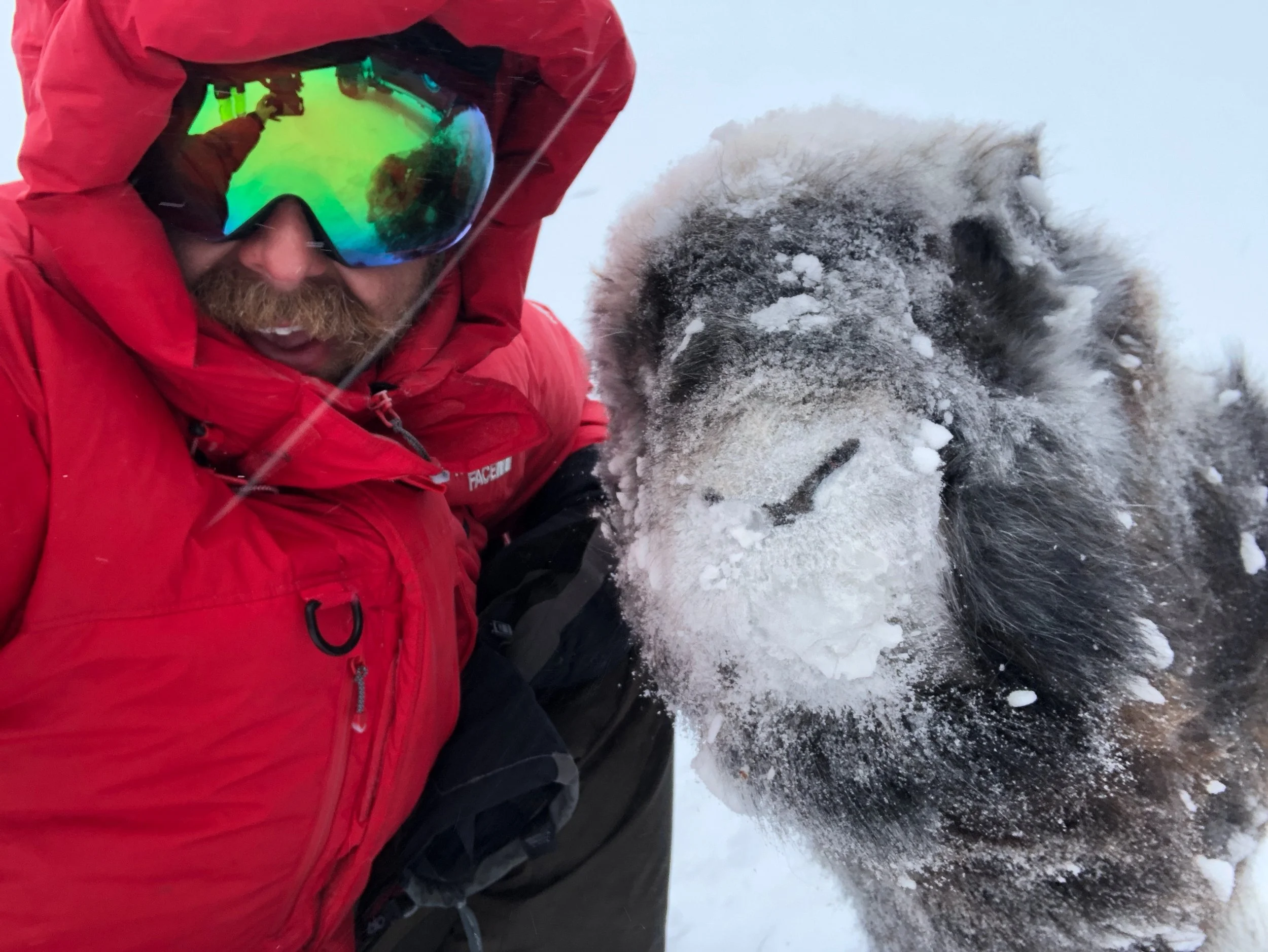 ACEP Now: Traversing Greenland’s Ice Sheet Drives Home Lessons in Teamwork, Trust, Humanity