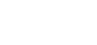 VELOCE.png