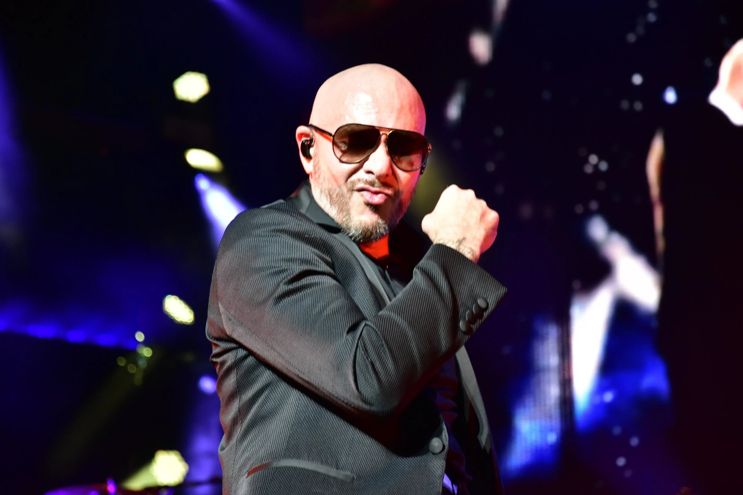 Pitbull11.jpg