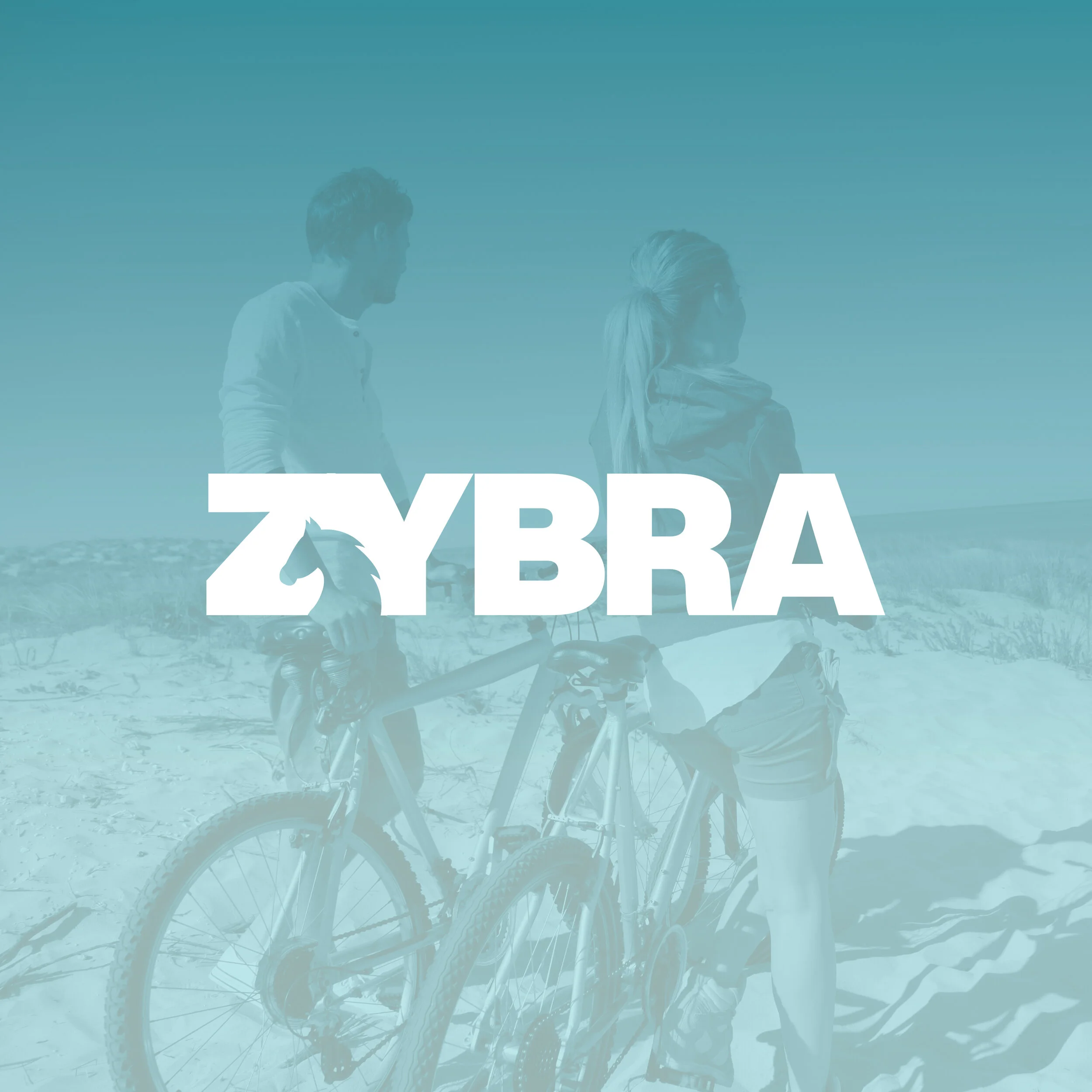 zybra.jpg
