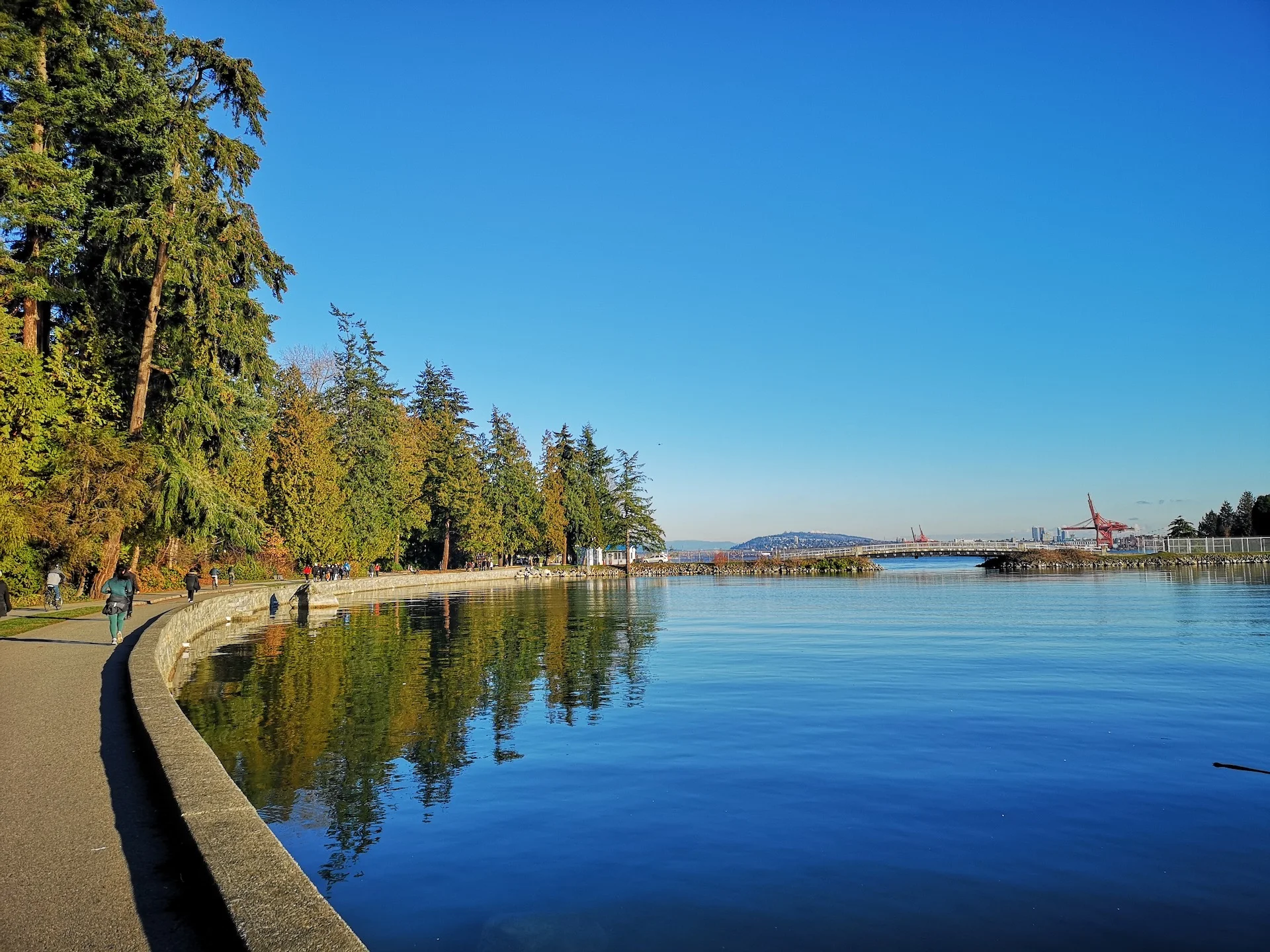 December in Vancouver is beautiful.