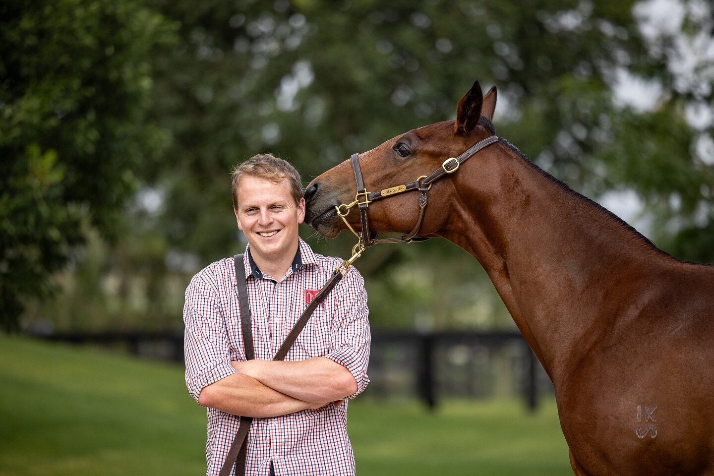 Kicking off the sales season pretty well with about 100 yearlings photographed&hellip;and counting! 📸🐎 Wishing everyone a Merry Christmas! 🎄Pictured: George with the beautiful Snitzel x Serena Bay #yearlingprep #yearlingphotos #equinephotography