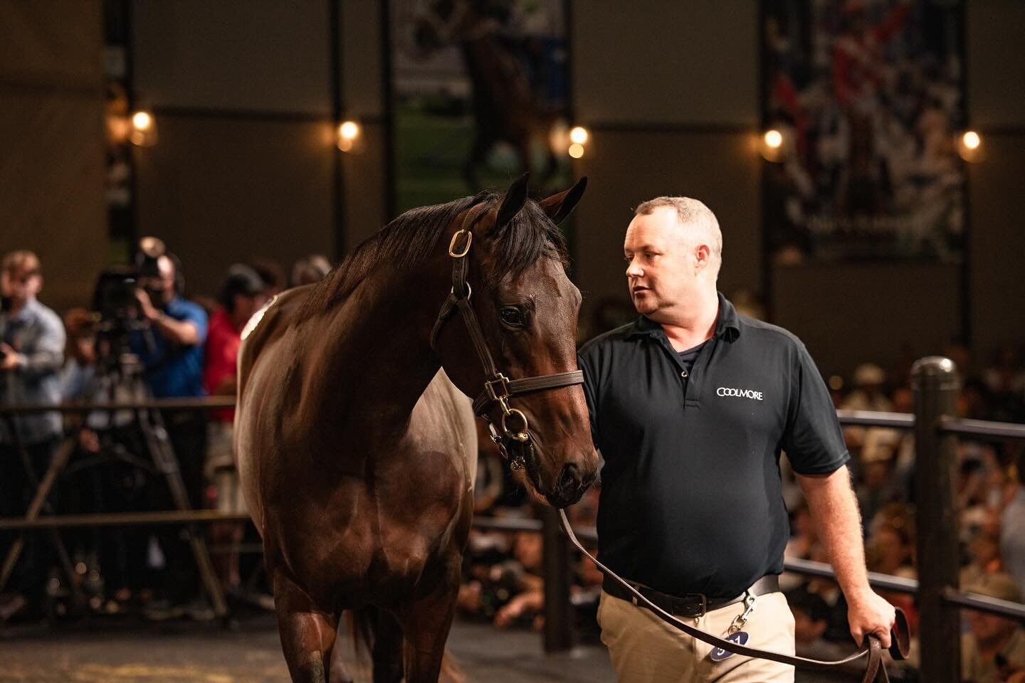 All eyes on her. It was a very special moment to witness today at @inglis with a record breaking of $10 million for the Pierro x Winx filly. Best of luck to Debbie and her family - Look forward to following her career ✨❤️ #pierroxwinx