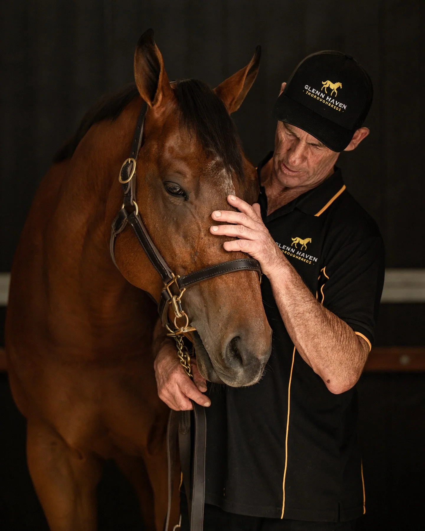 Love this stunning colt by #Tassort. He&rsquo;s heading to the upcoming Ready To Race sale and will be going through the ring on Tuesday.🔥 Pictured here with his dedicated handler, Mark Crawley 🏇 @newgatefarm @mattvellaracingservices @inglis_sales 