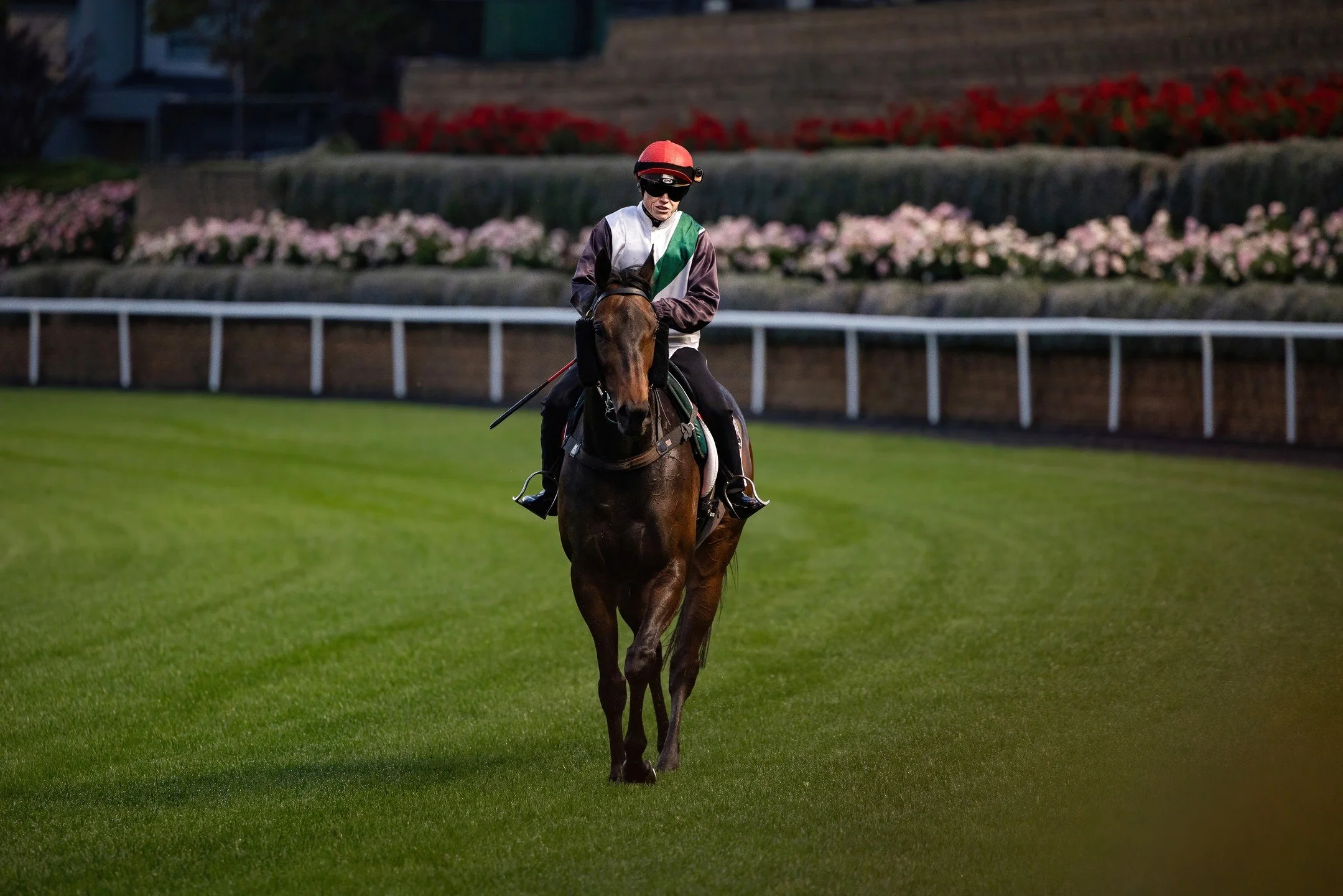 Gallops at @thevalleyracecourse this morning 🏇✨. It's Cox Plate Carnival week, and I'm thrilled to be here for the first time! 🤩📸 Mr Brightside - Broadsiding - Kovalica - Atishu - Royal Patronage - Gold Wolf - Via Sistina #CoxPlateCarnival #Horser