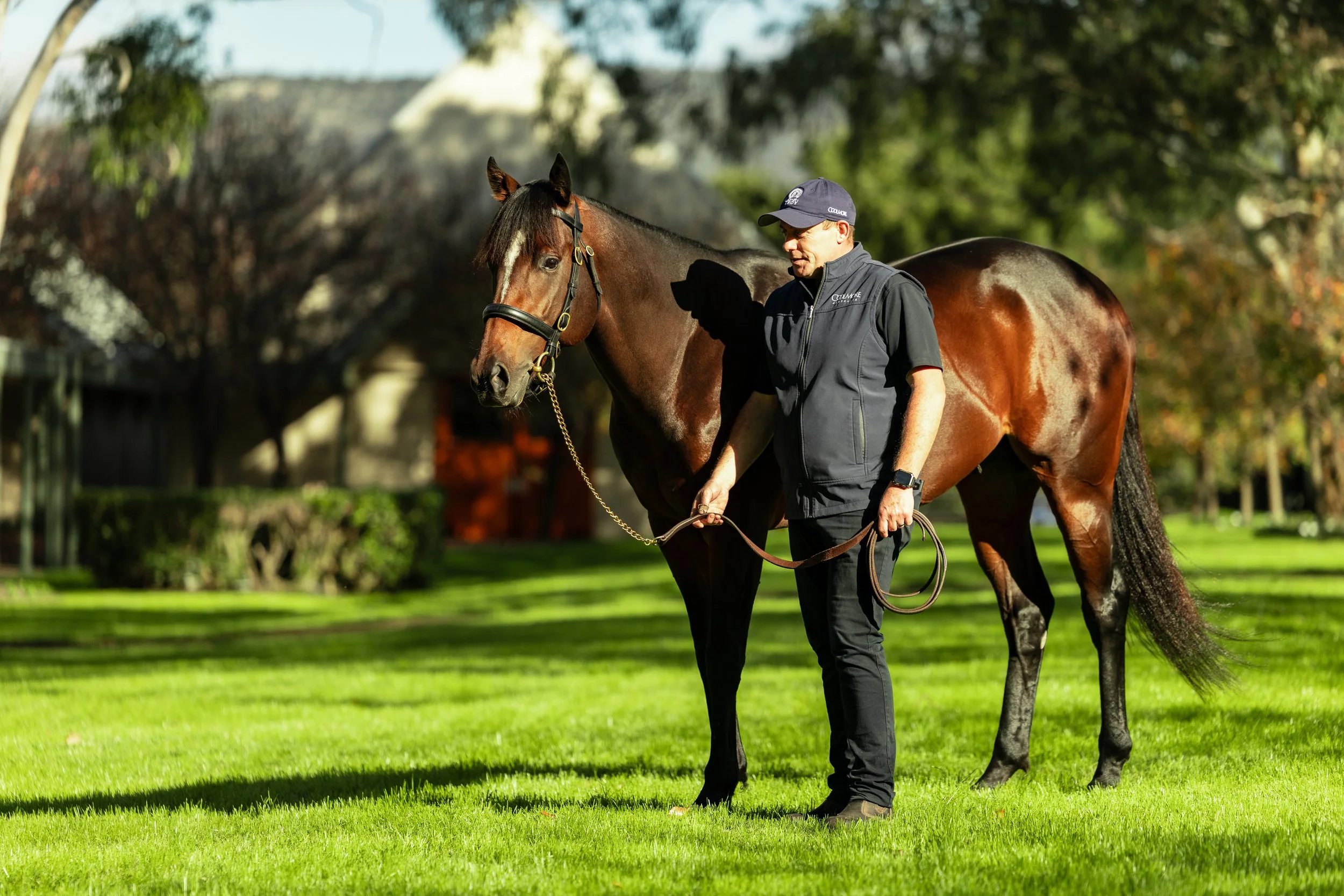 IMG_5623-Switzerland Coolmore June 25.jpg
