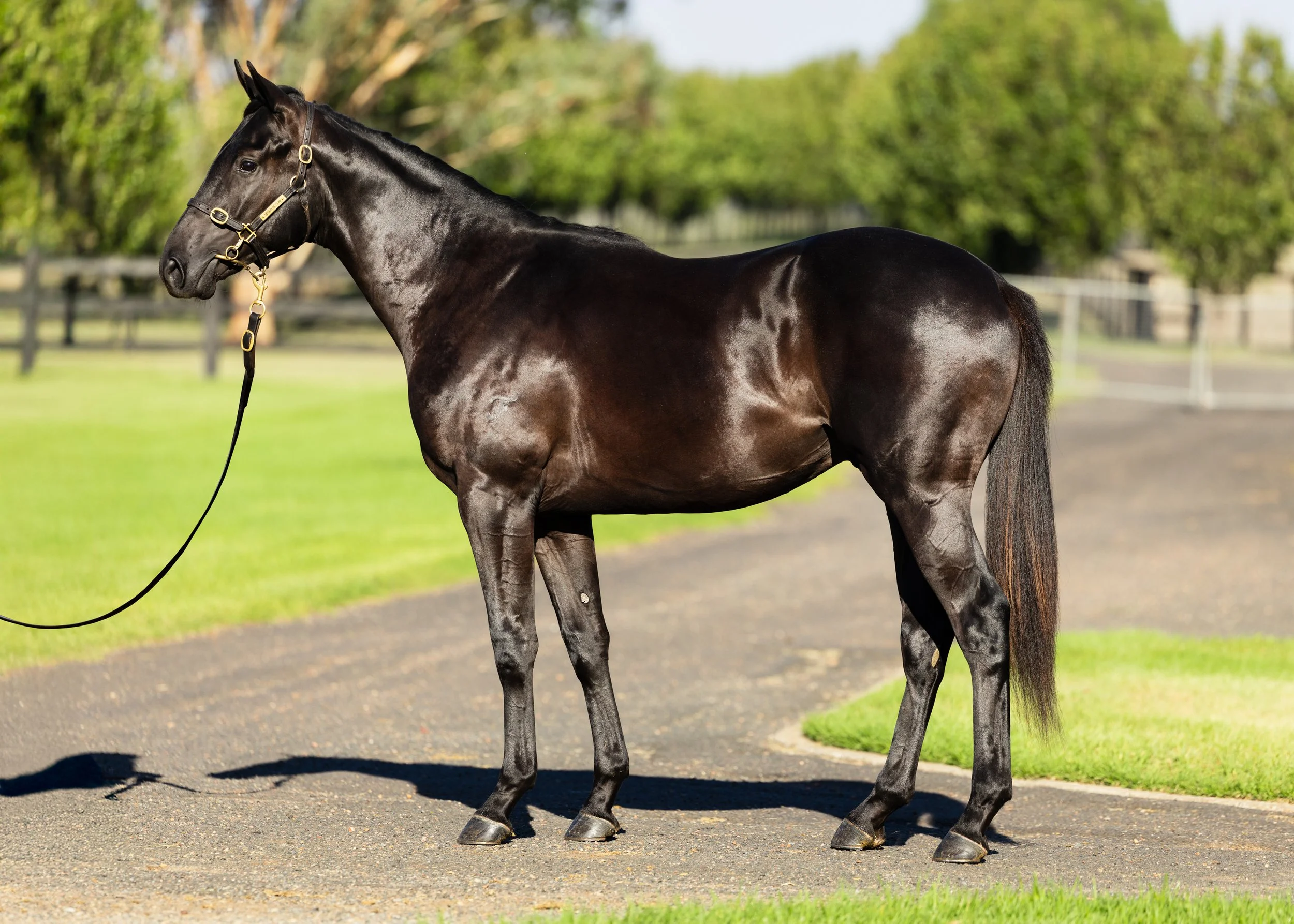 7-No Nay Never x Setarhe.jpg