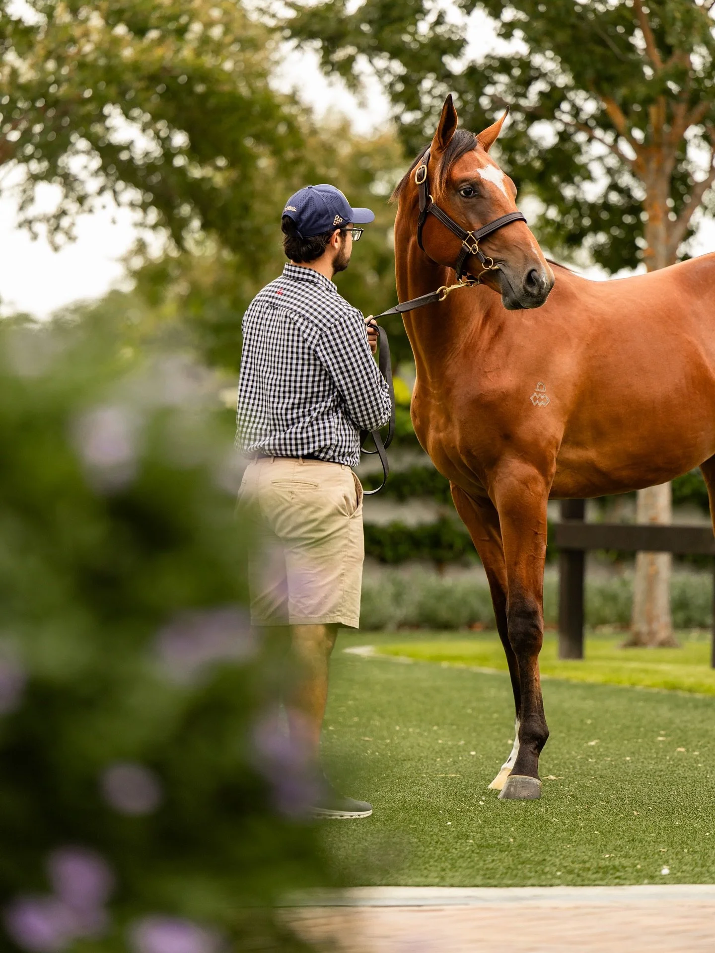 Back on the tools at Riverside for @inglis_sales 👌🏻📸 #InglisClassic2026