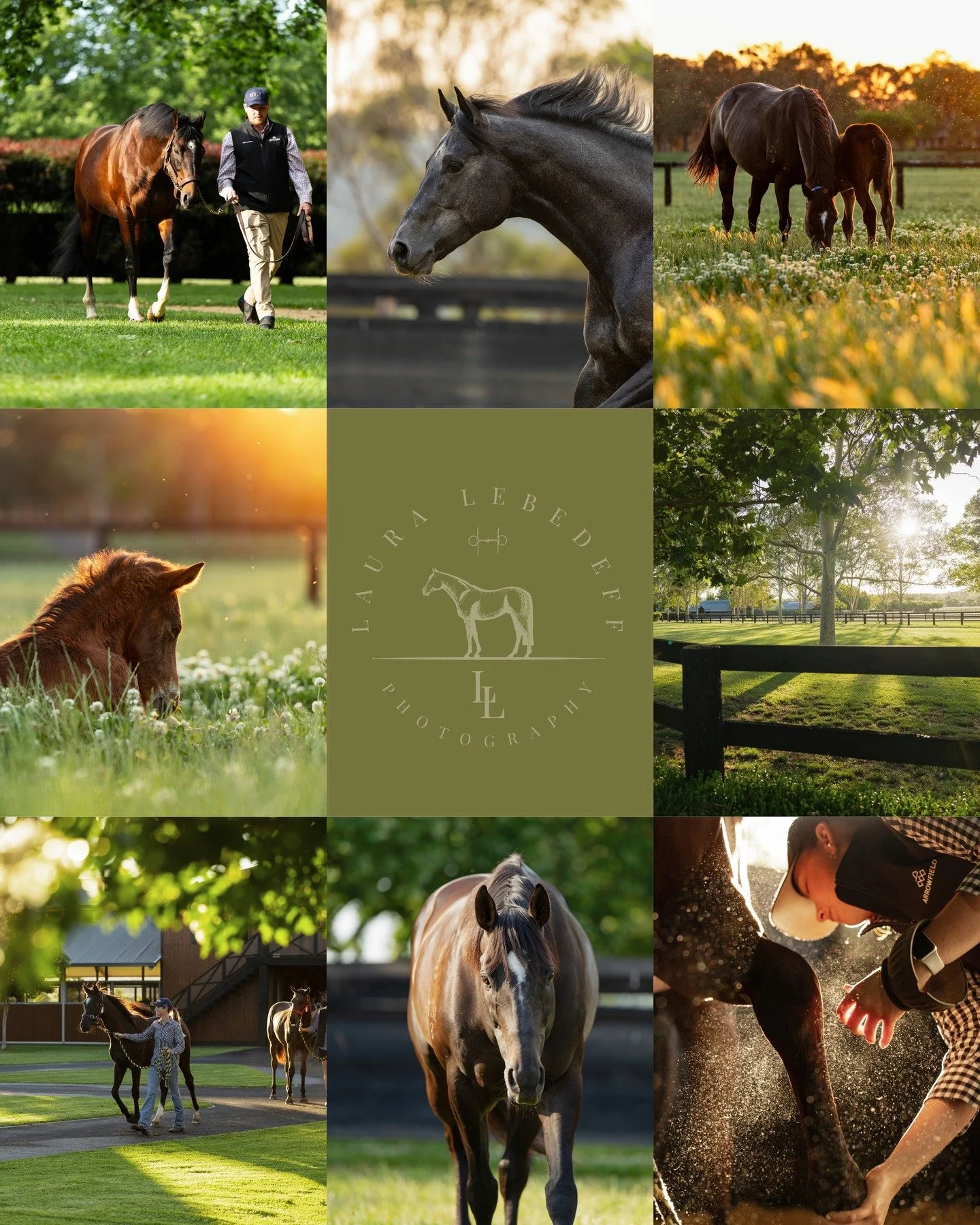 Wrapping up 2025 feeling incredibly grateful, and more motivated than ever for what&rsquo;s ahead. 🤍
For the clients, the staff, the horses, the travels, the challenges and the wins.
This year reminded me why I love what I do, and just how lucky I a