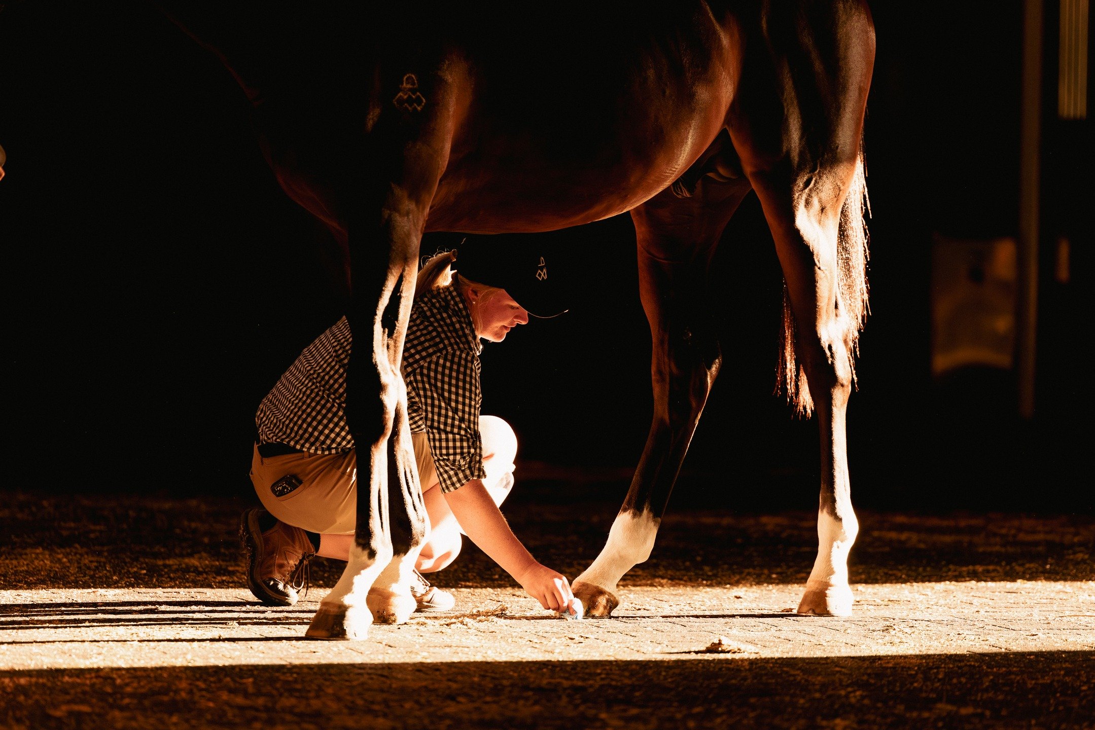 Scenes from the Inglis Easter Sale. ✨