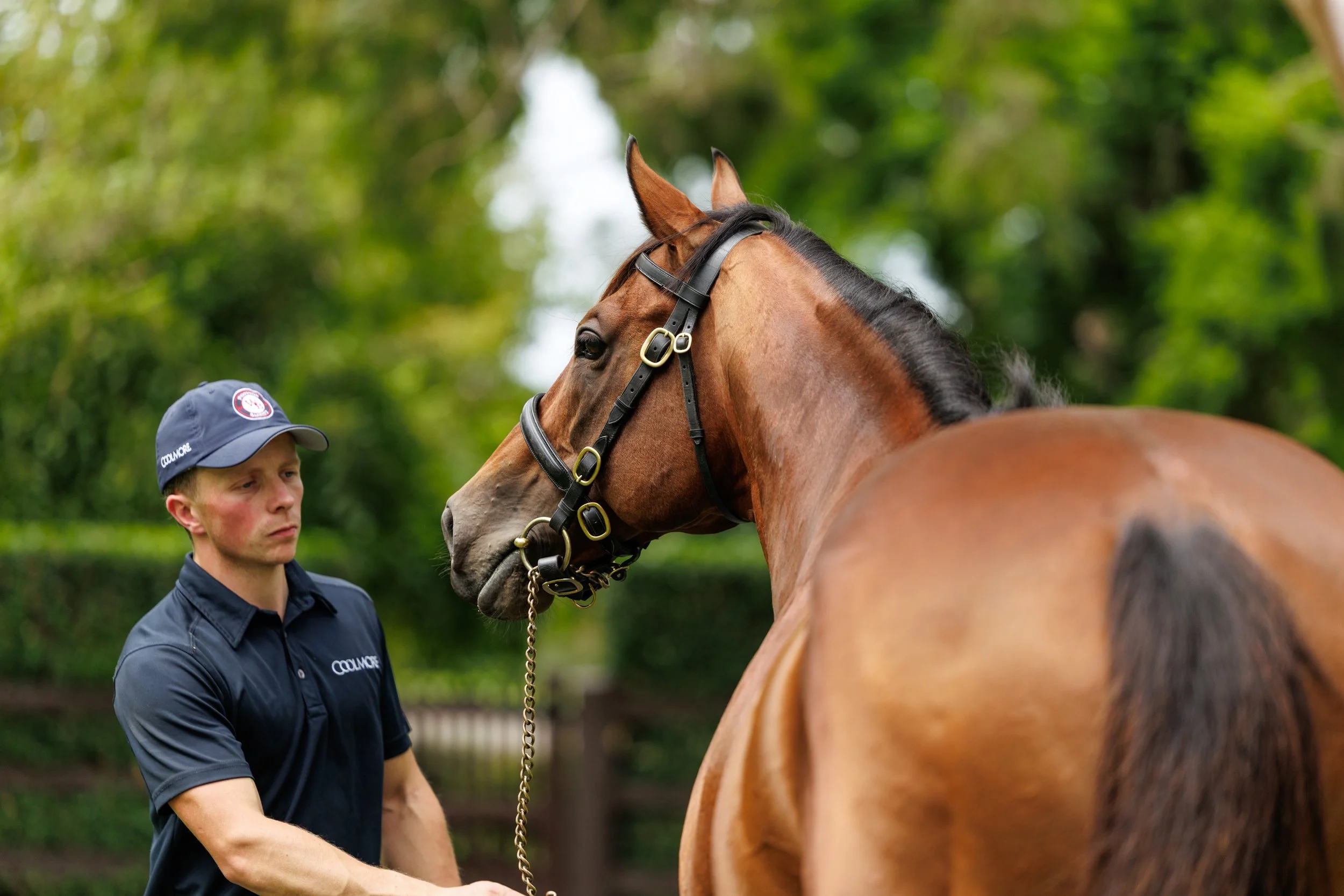 Super Seth Coolmore March 2026-5027.jpg