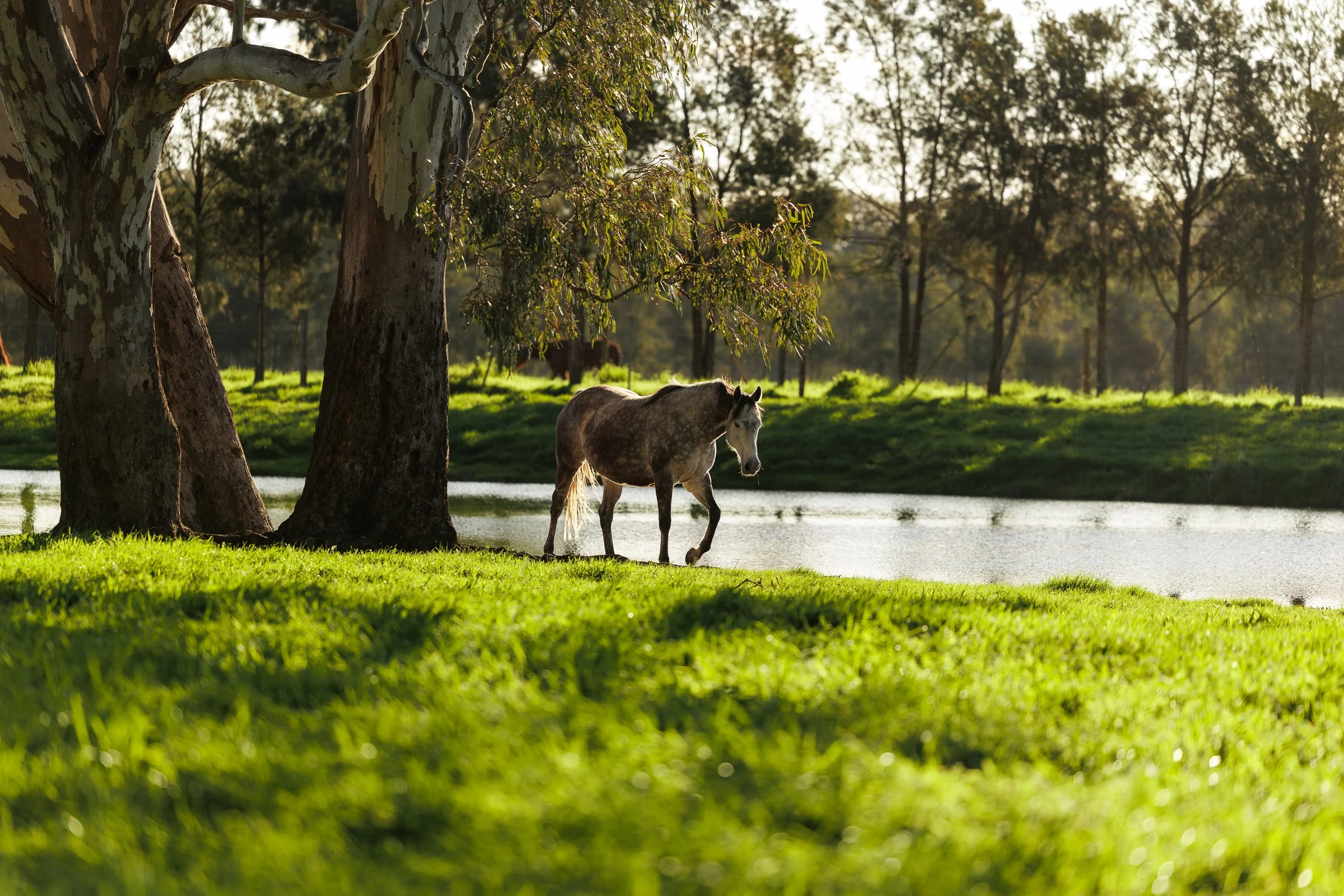 Seymour Park - August 26-22857.jpg