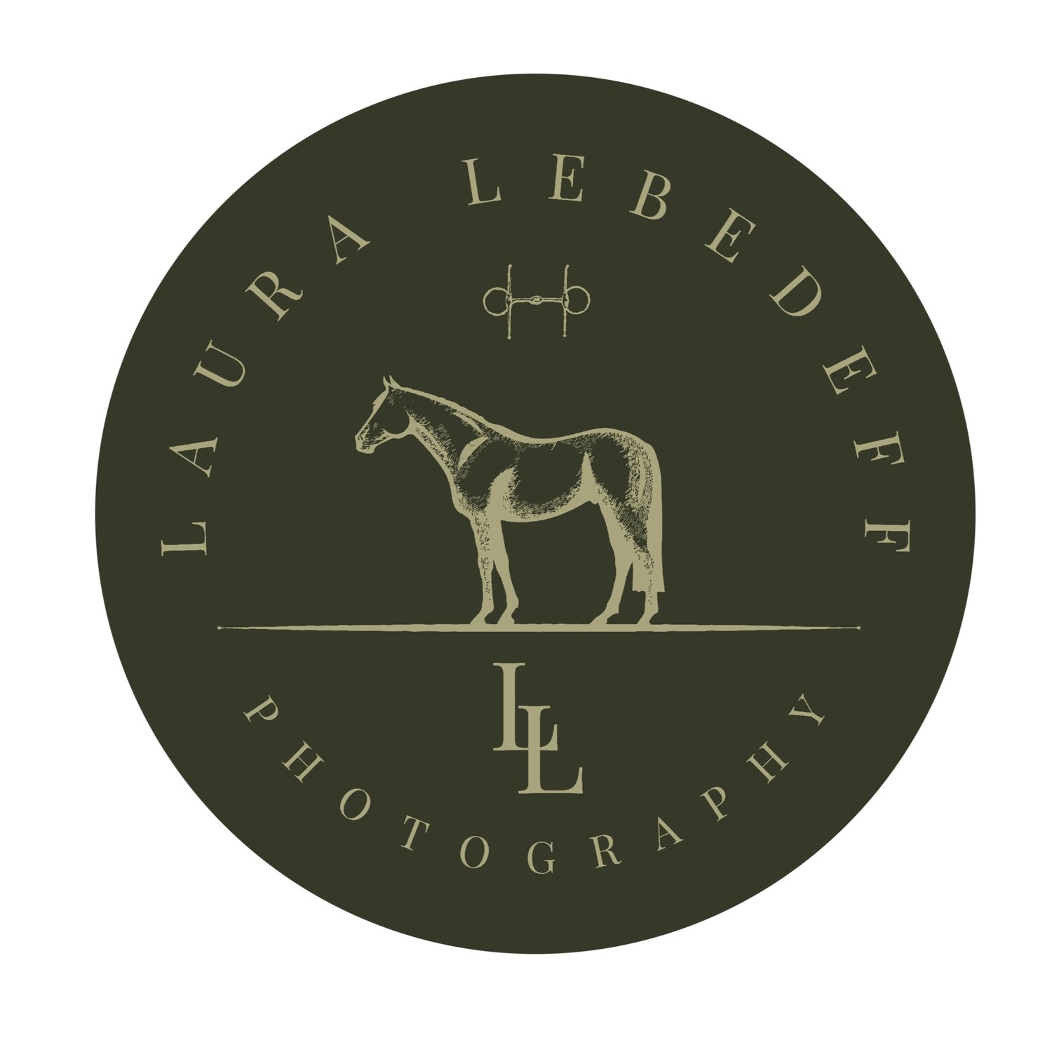 LAURA LEBEDEFF PHOTOGRAPHY - EQUINE PHOTOGRAPHER 