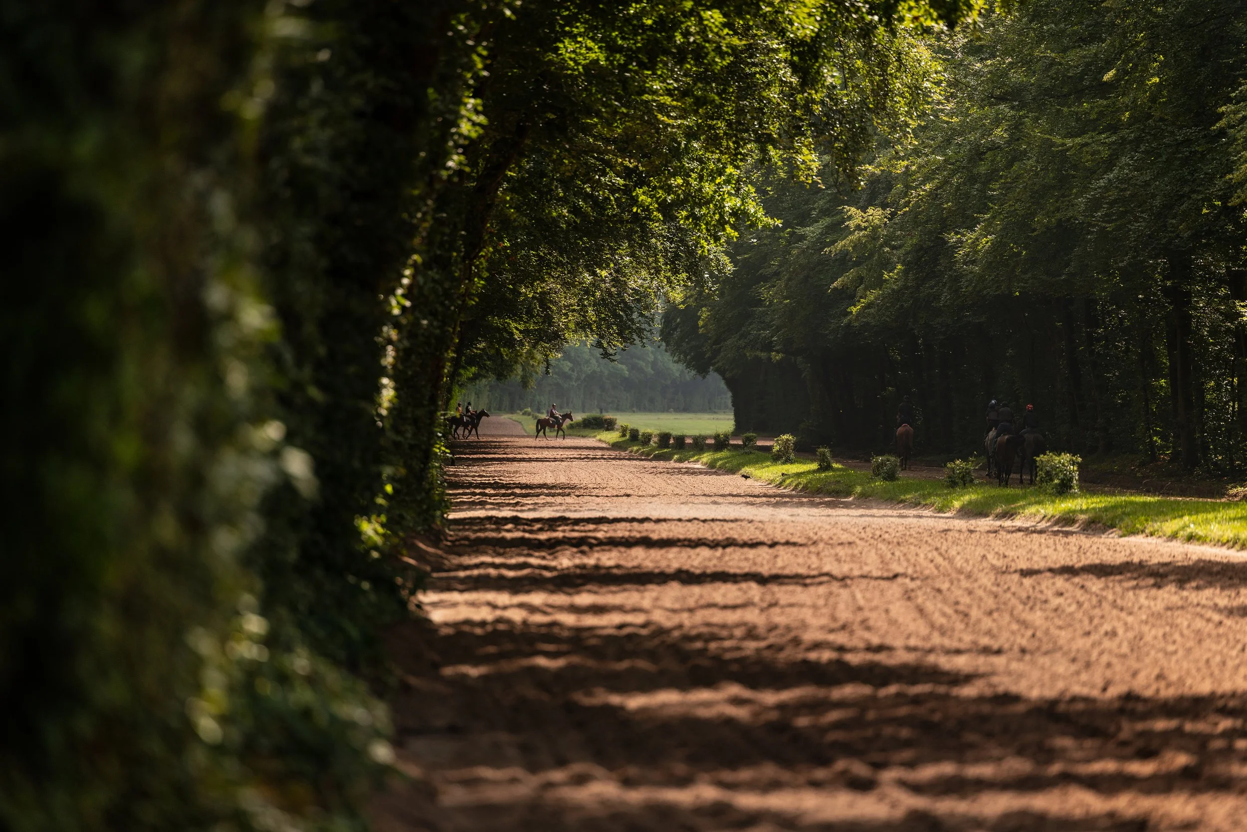 Chantilly print- copy.jpg