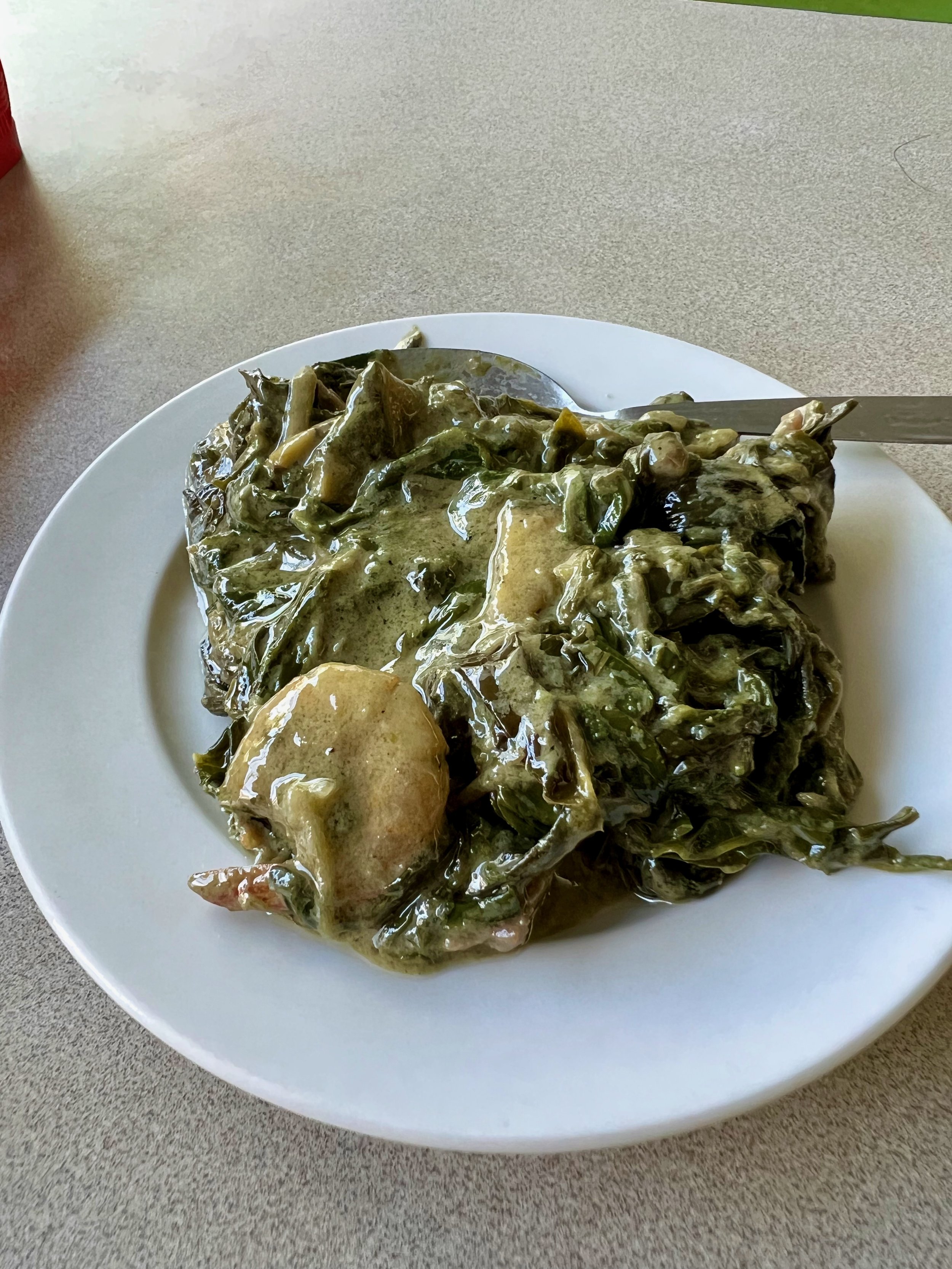 Camarines Sur, Part One