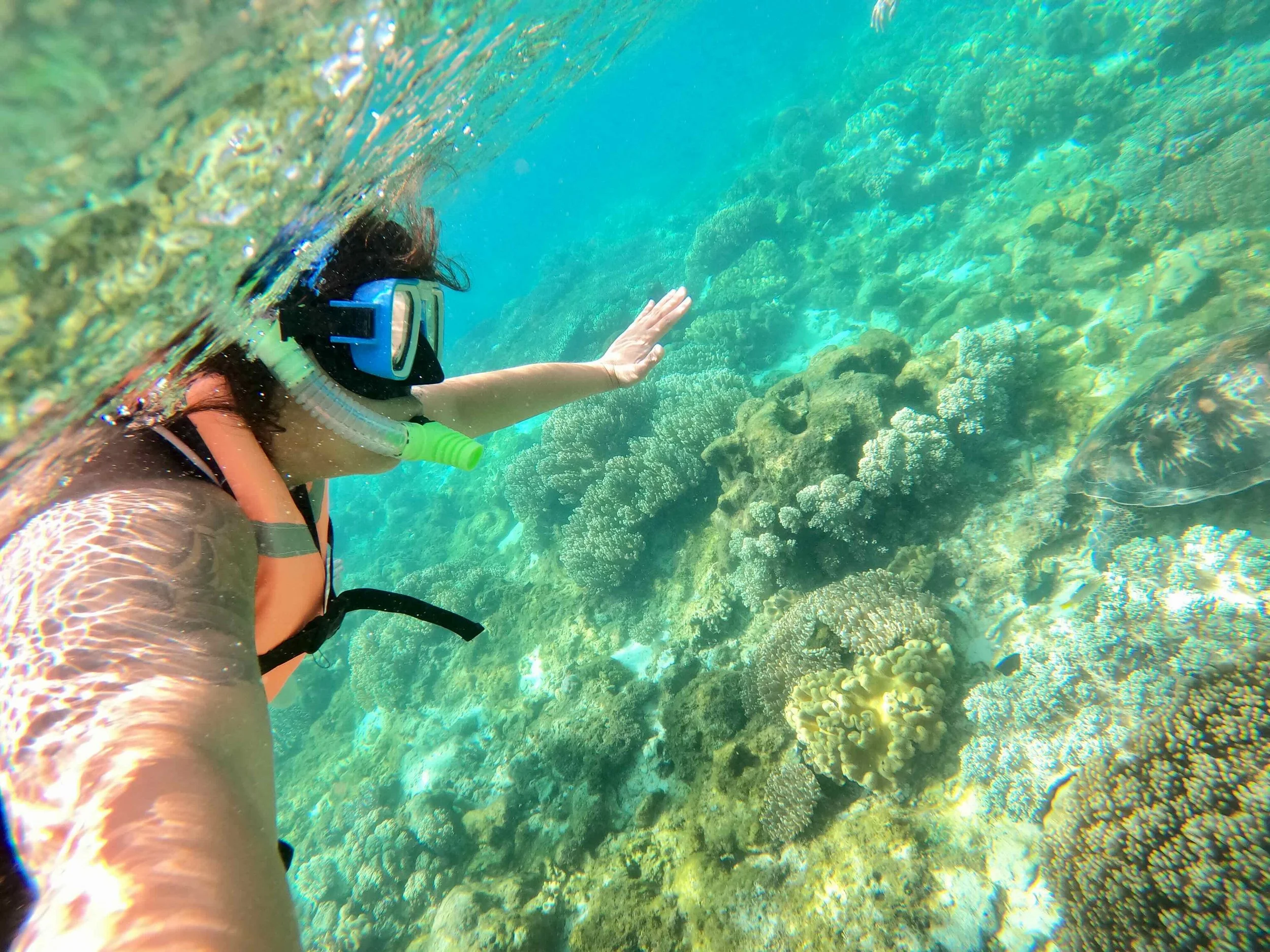 Negros Oriental, Part Three