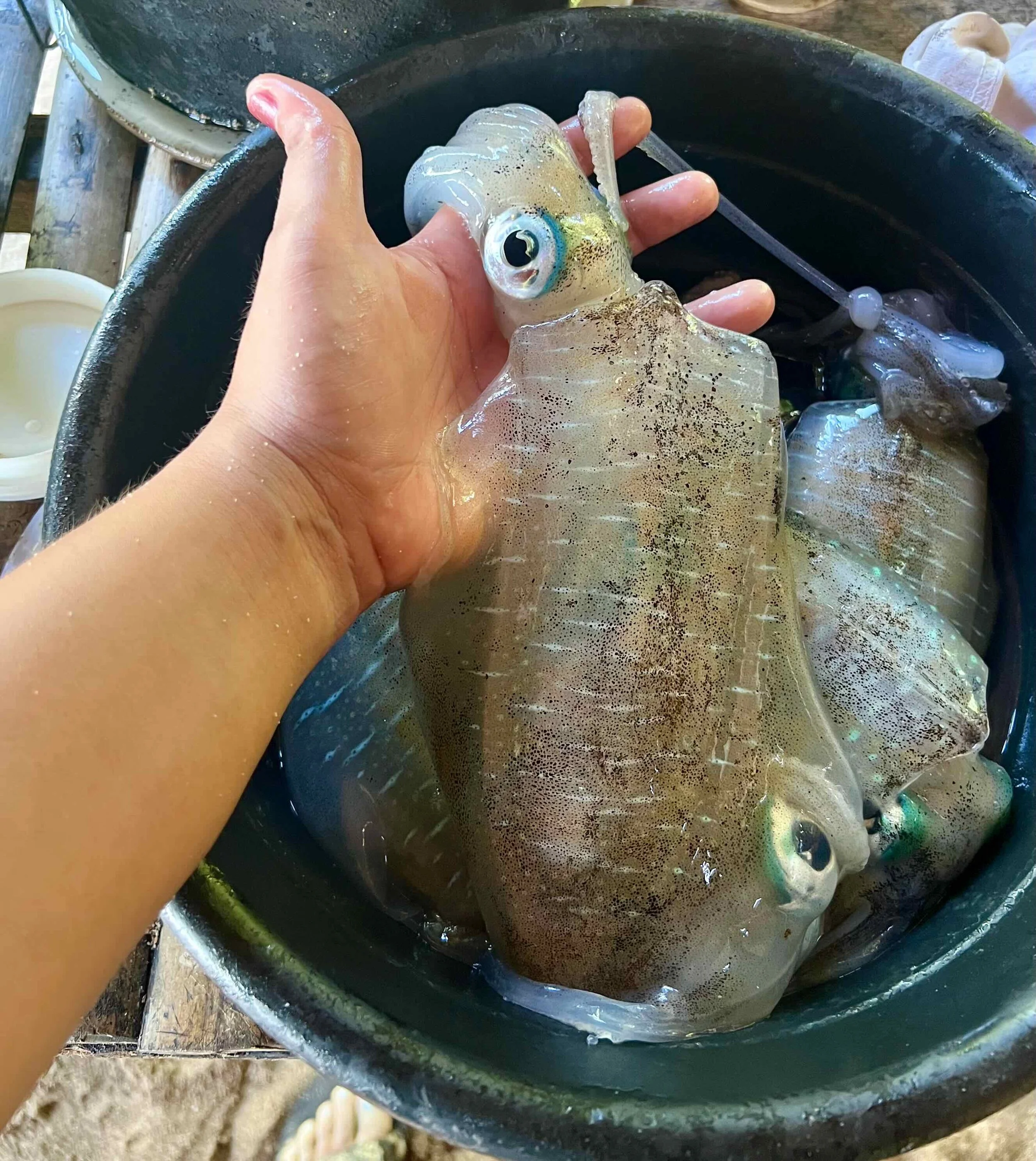 Camarines Norte, Part Five