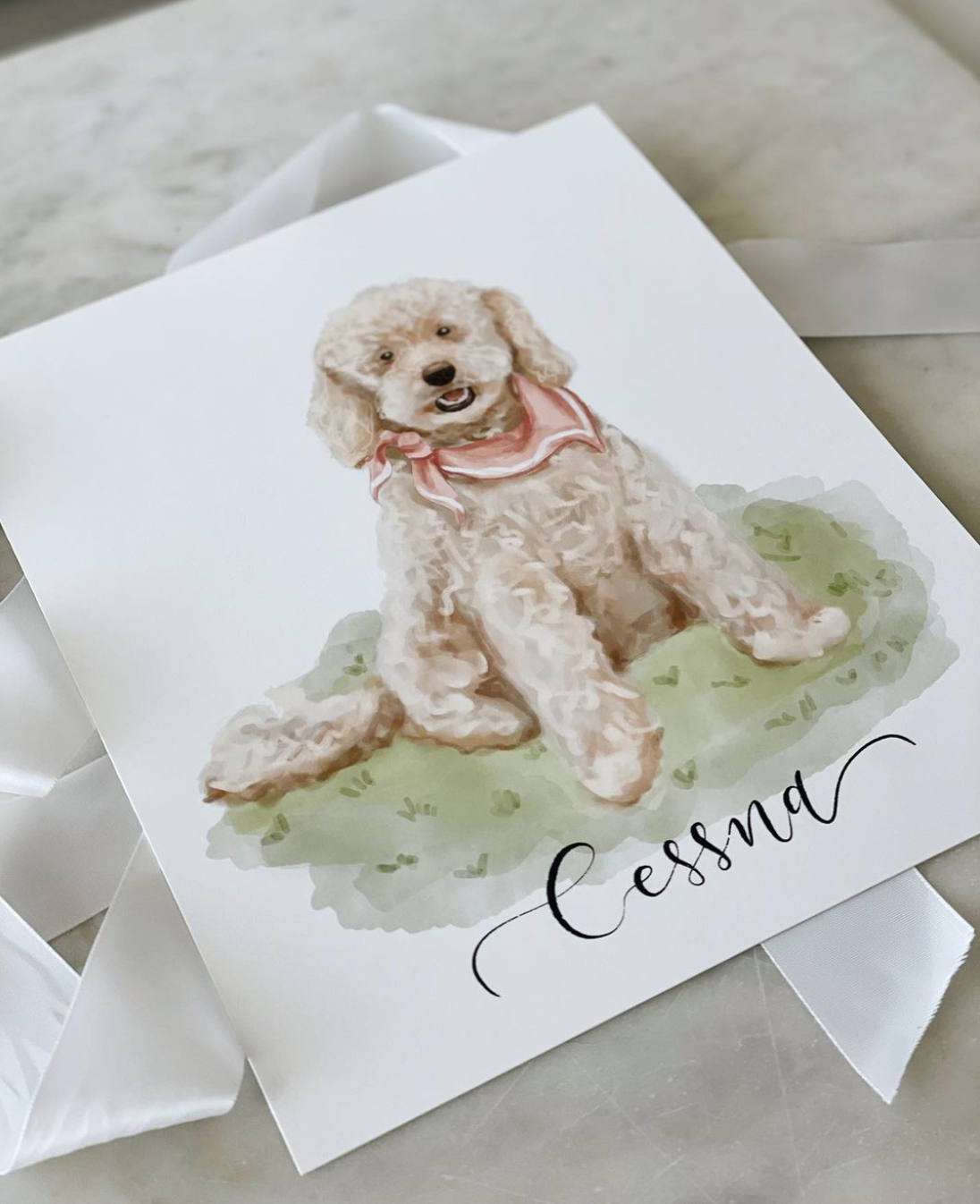 Pet  Illustration