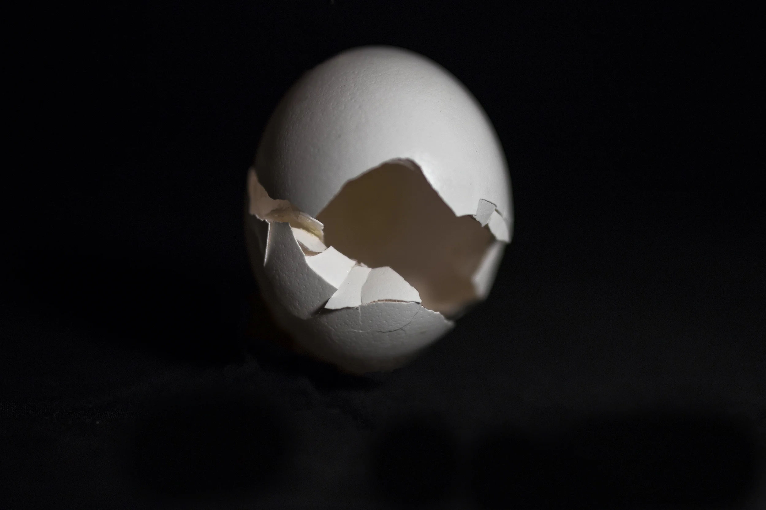 egg.jpg