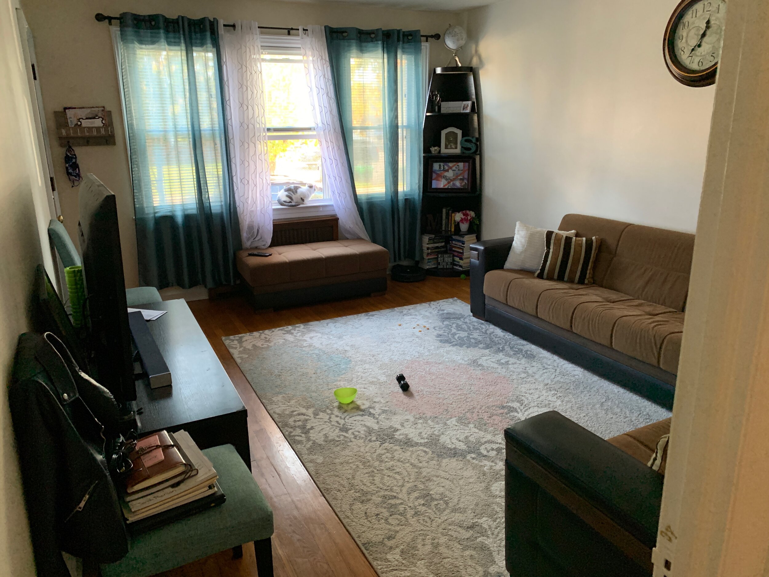 BEFORE PHOTOS OF LIVING ROOM