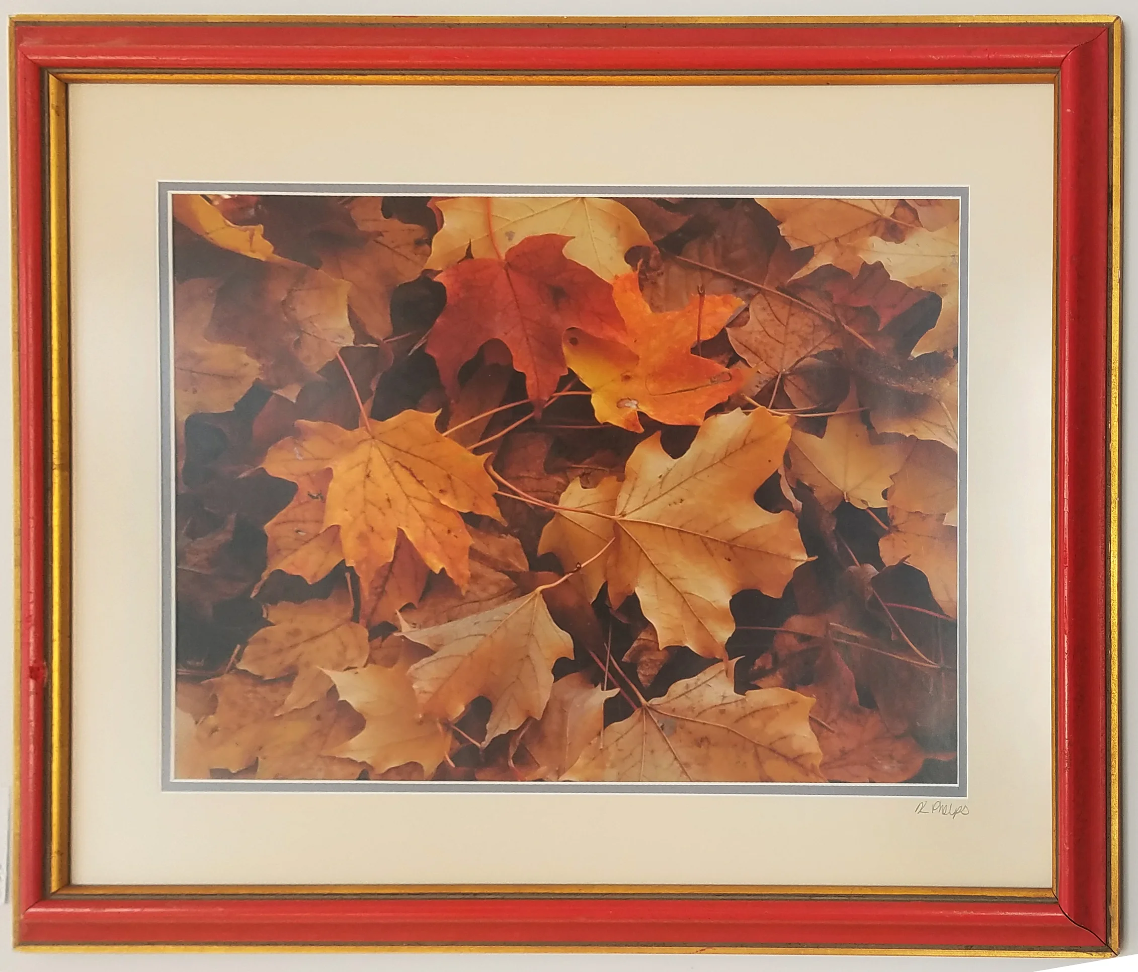 "Leaves" Framed Photo by Kay Phelps